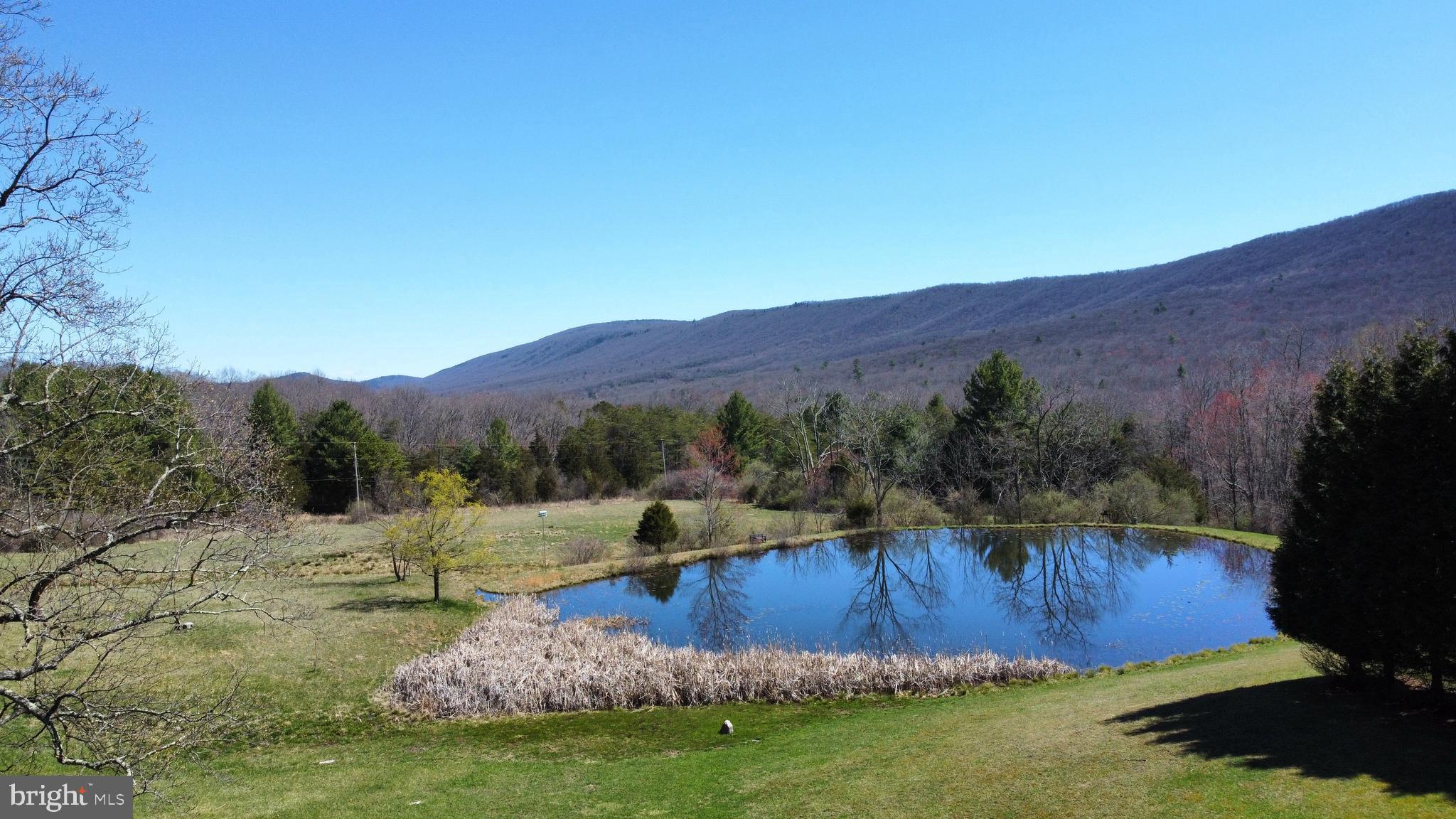 THOMAS - Residential