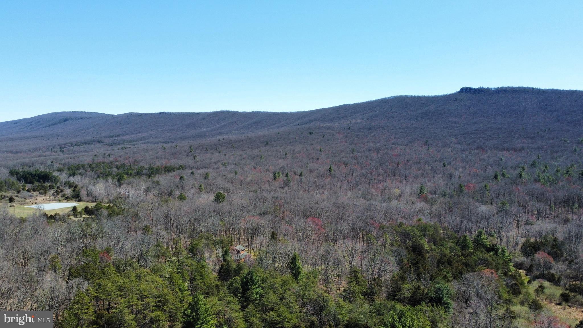 THOMAS - Residential