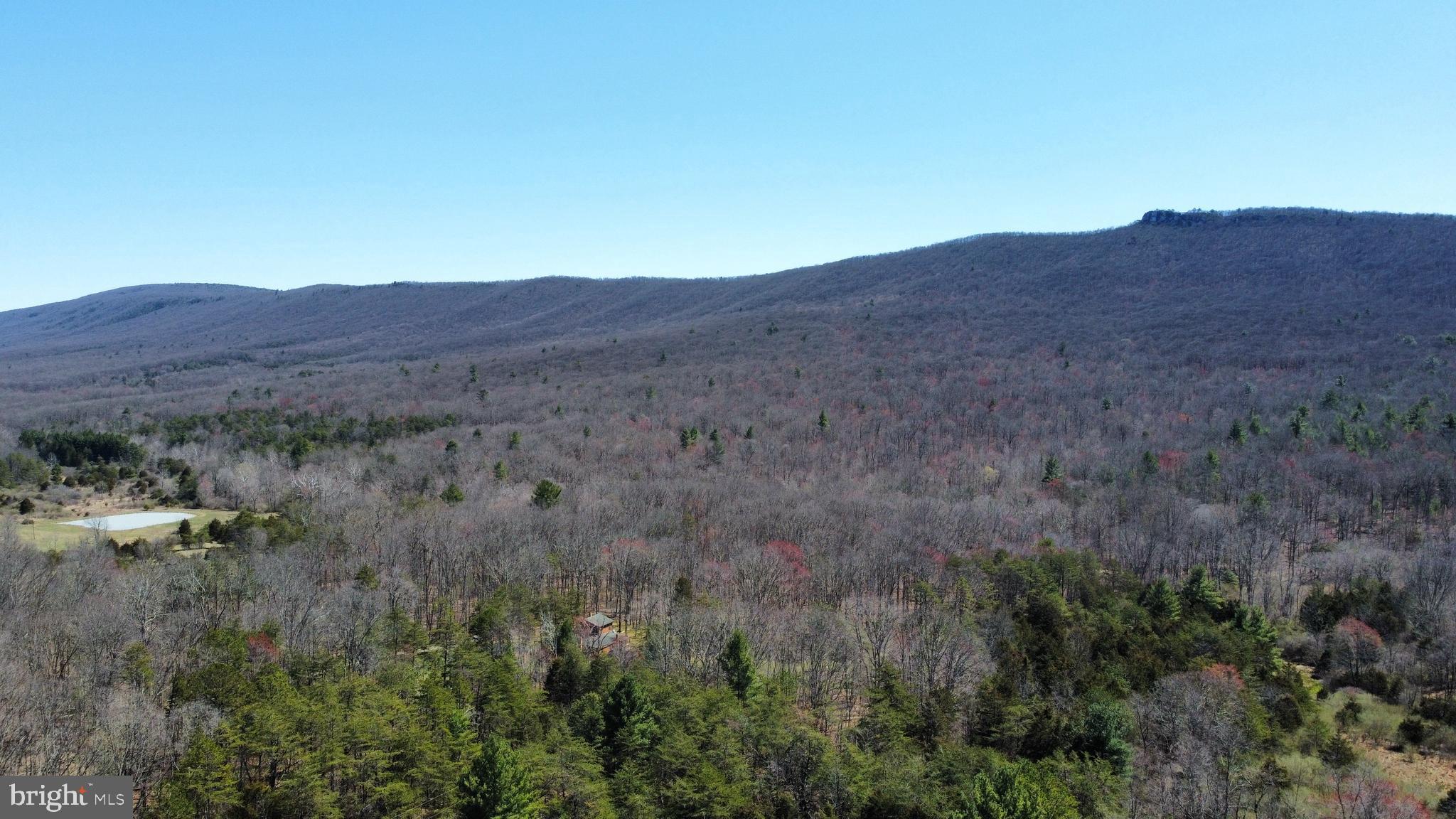 THOMAS - Residential