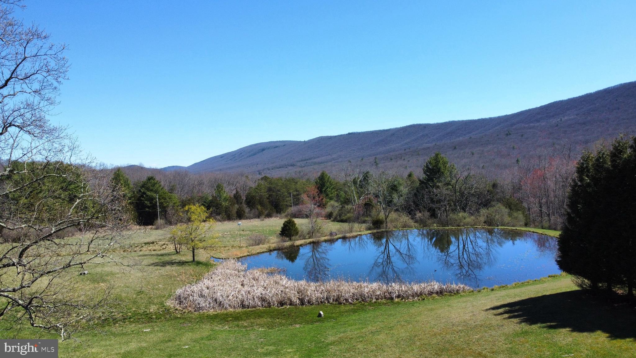 THOMAS - Residential