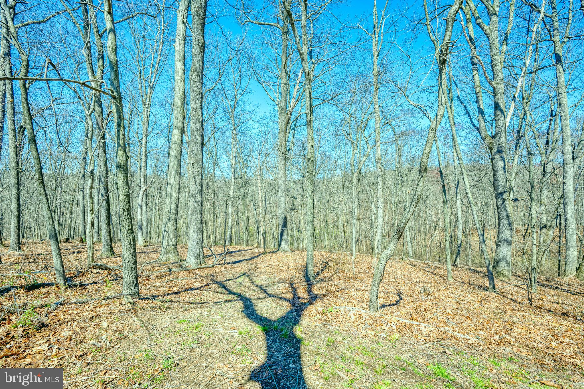 NOTTINGHAMSHIRE FARMS - Residential