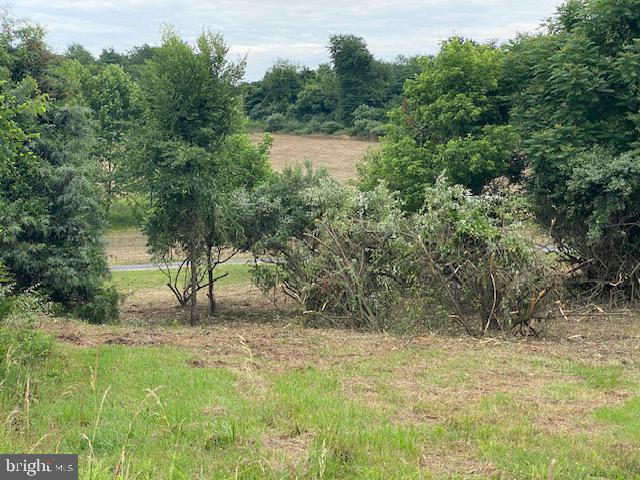 NONE AVAILABLE - Land