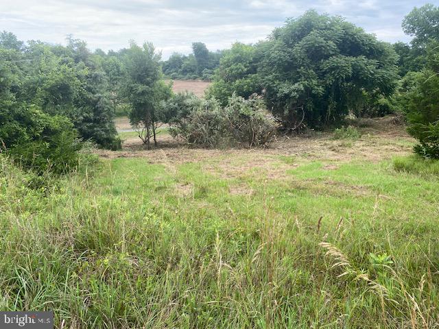 NONE AVAILABLE - Land