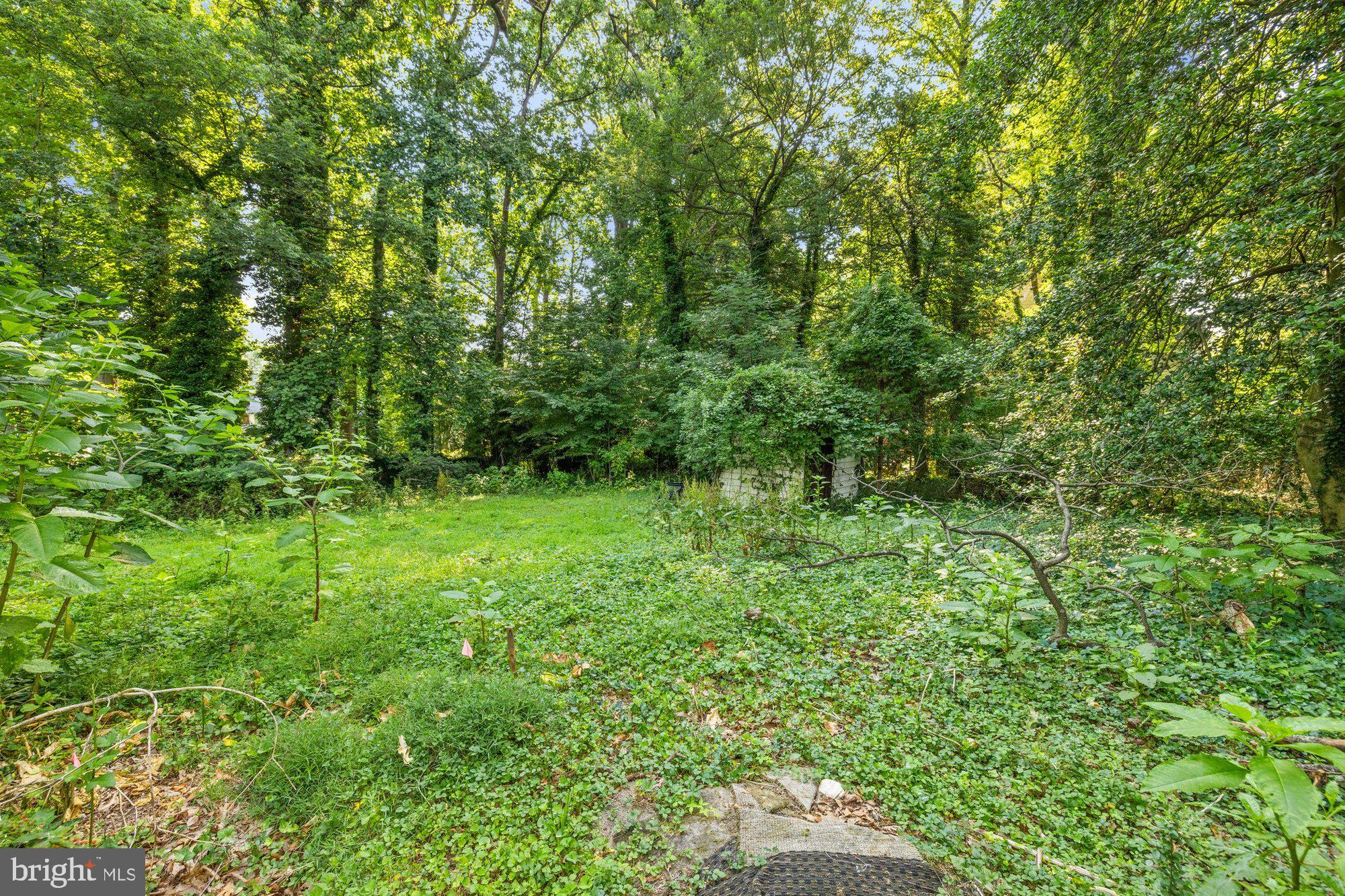 WAPLES MILL - Residential