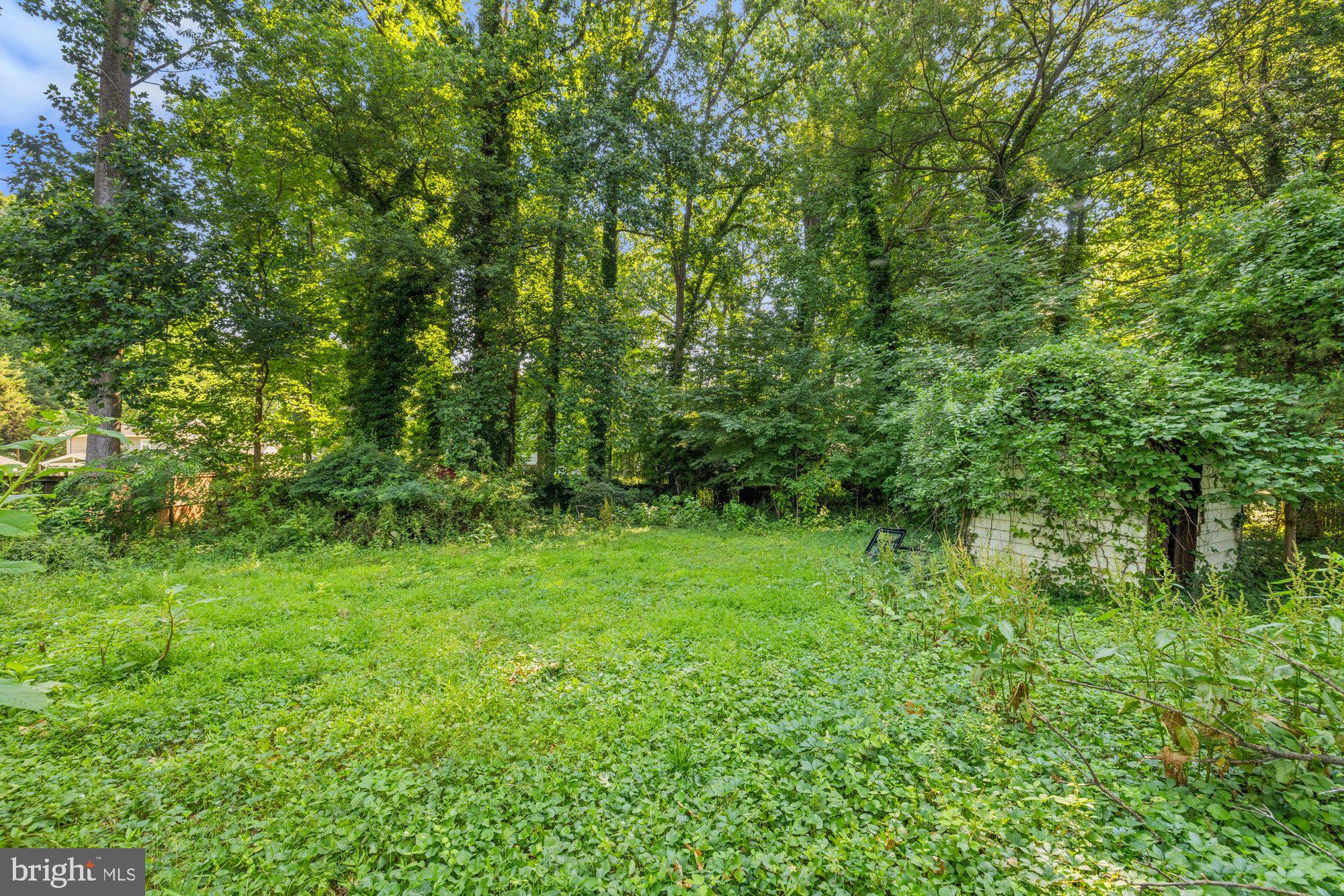 WAPLES MILL - Residential