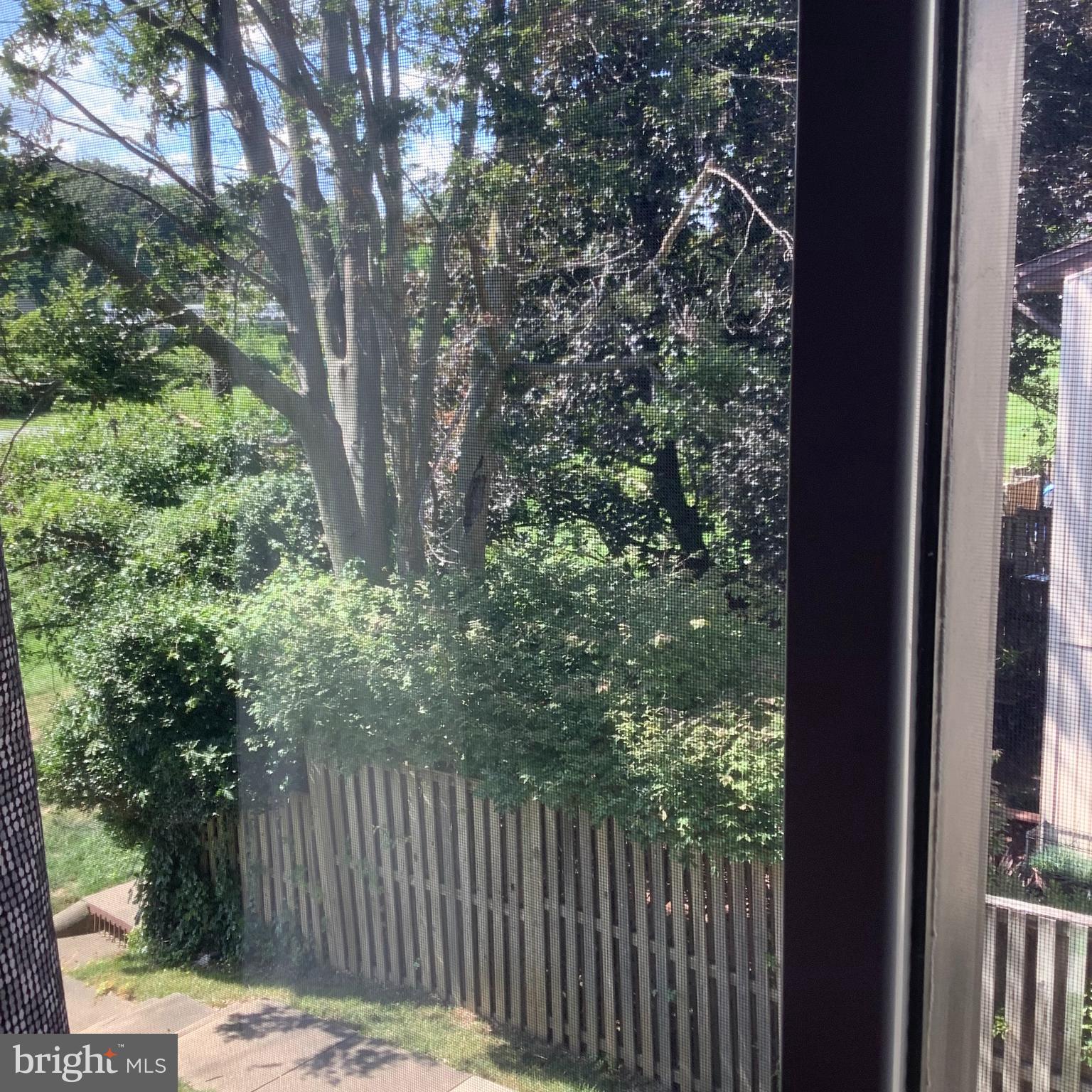 RAINTREE - Residential Lease