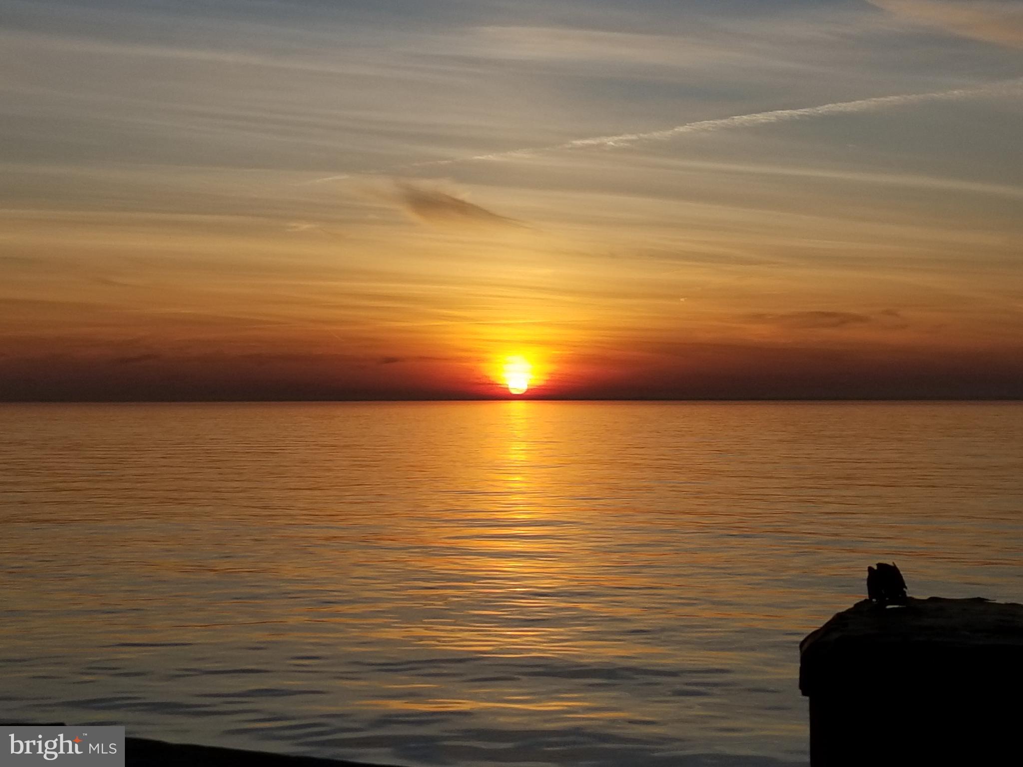 KENT ISLAND ESTATES - Residential Lease