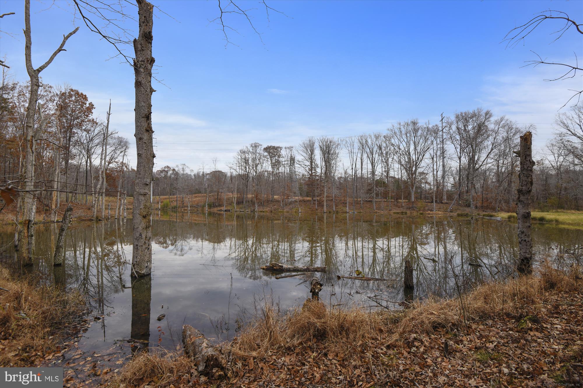 GALLAHANS CHOICE - Residential