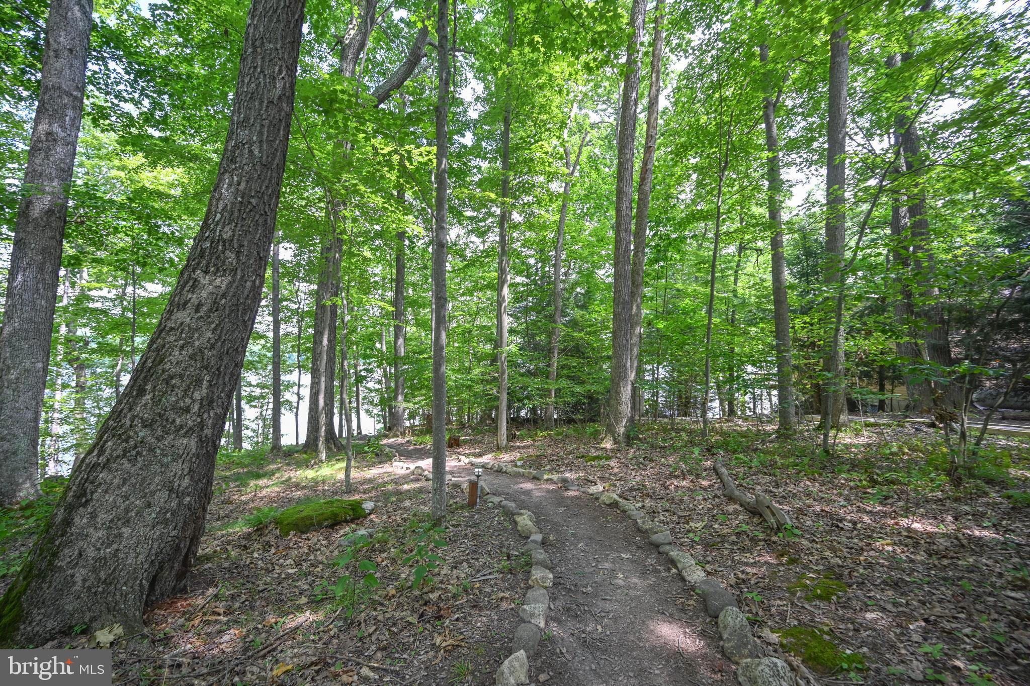 LAKE FOREST - Residential