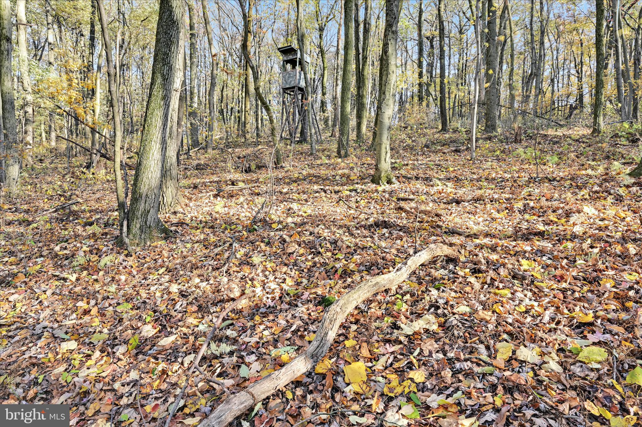 HEIDELBERG TOWNSHIP - Residential