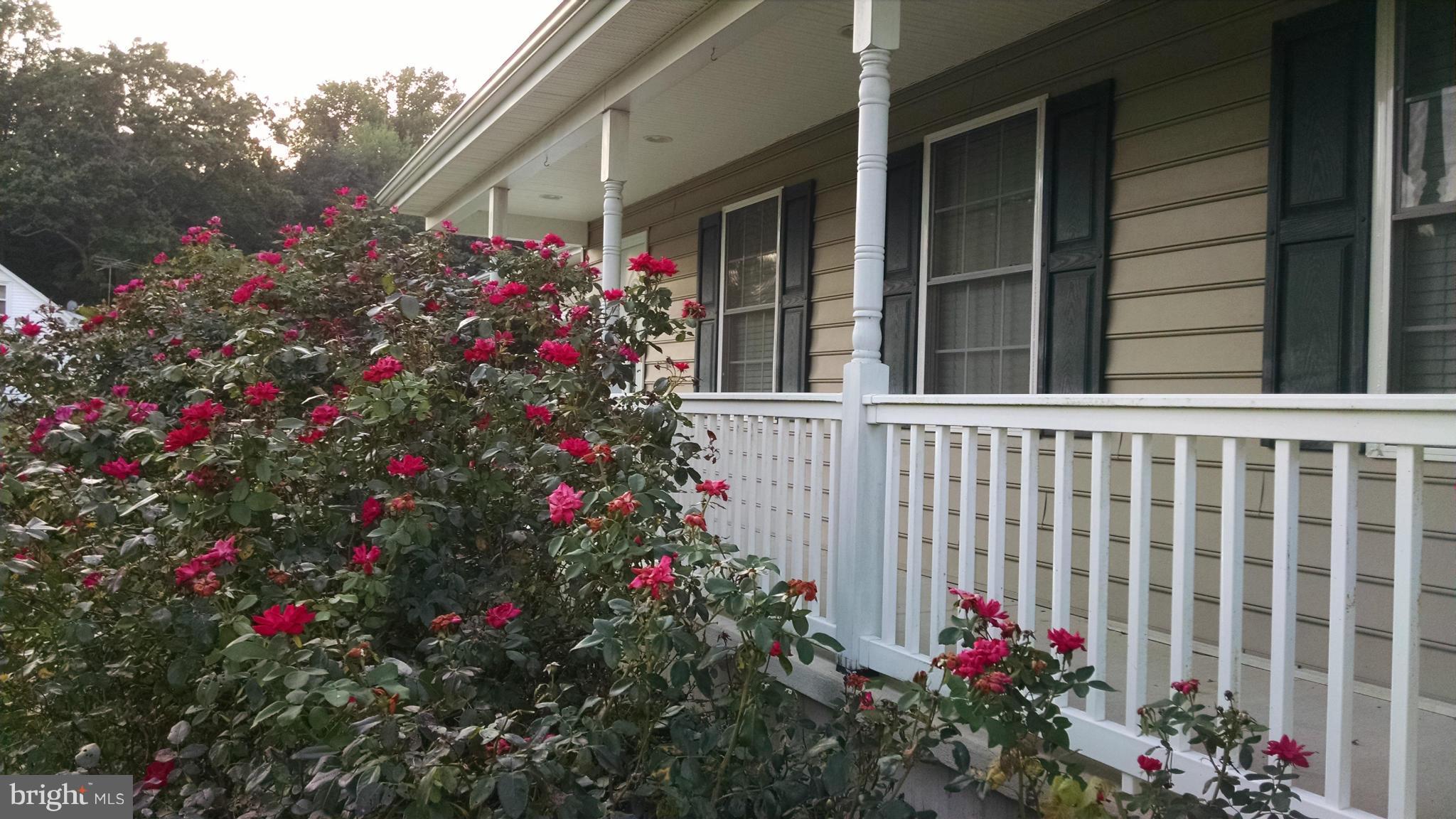 QUEEN ANNE - Residential Lease