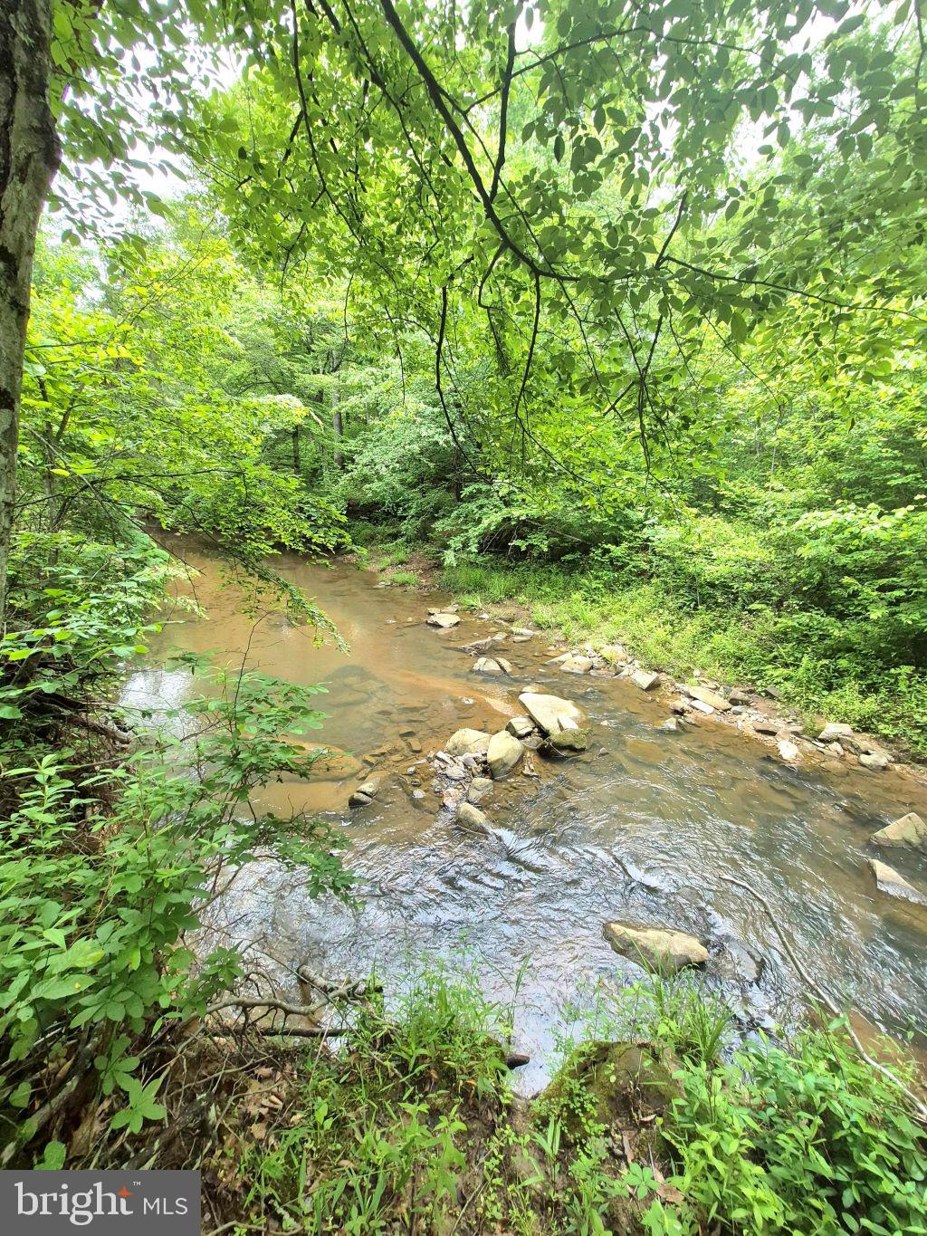 2995 BEAR CREEK ROAD