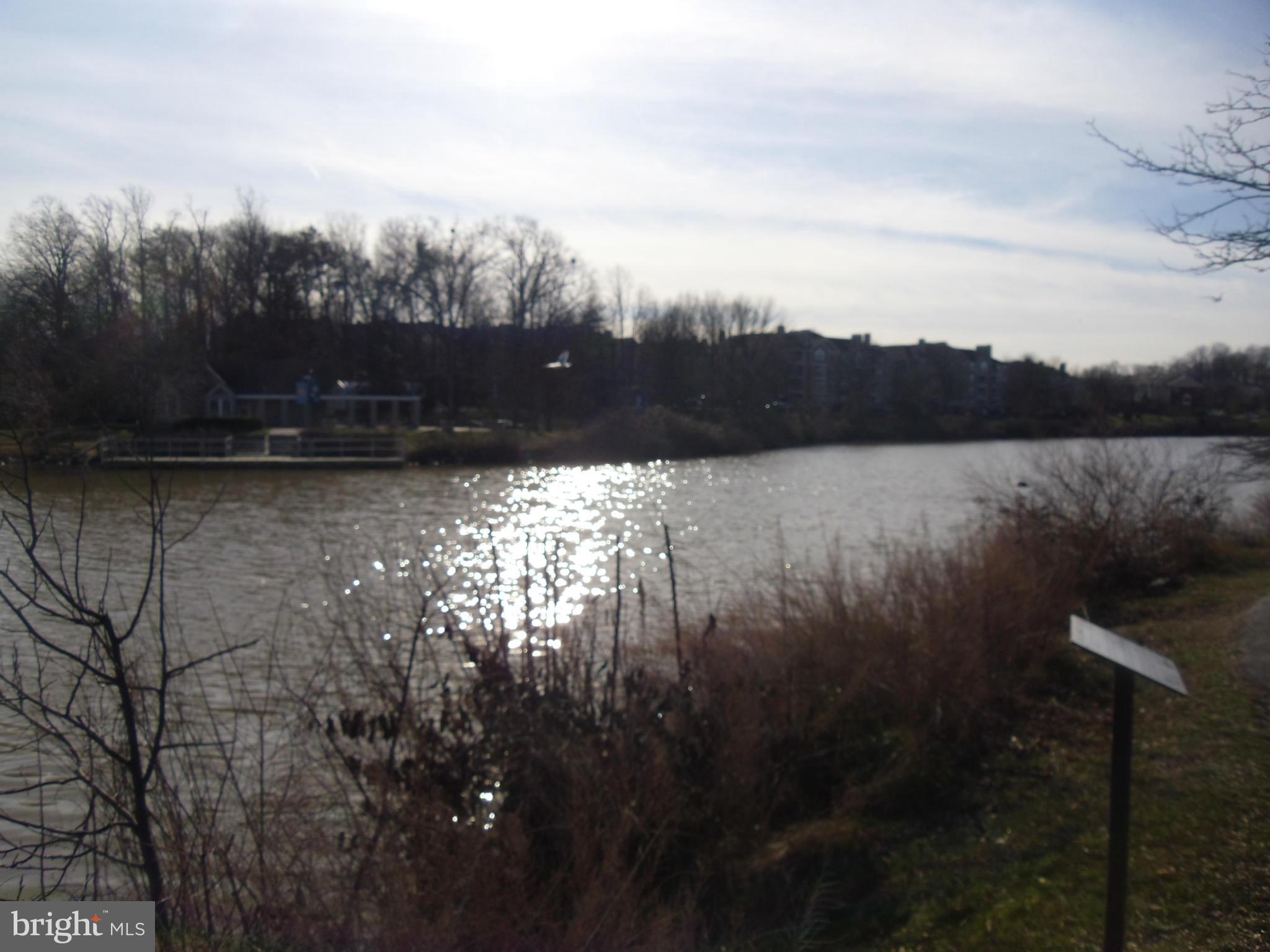 ASHFORD - Residential