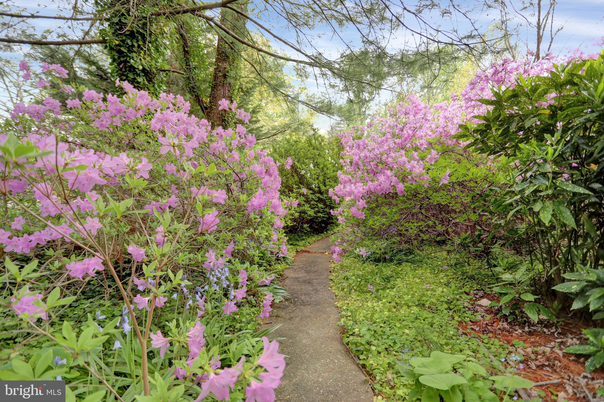 WOODBROOK - Residential