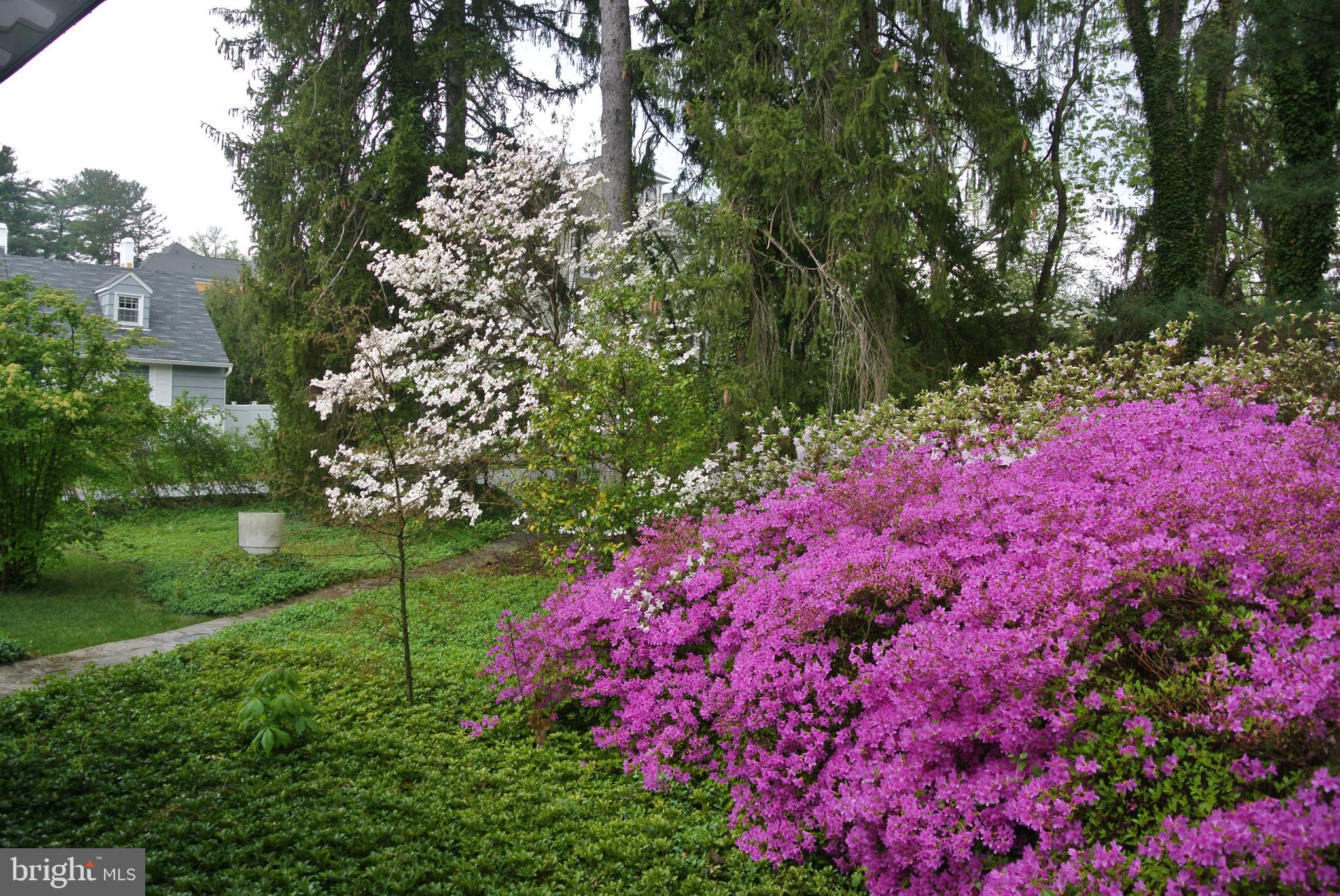 WOODBROOK - Residential