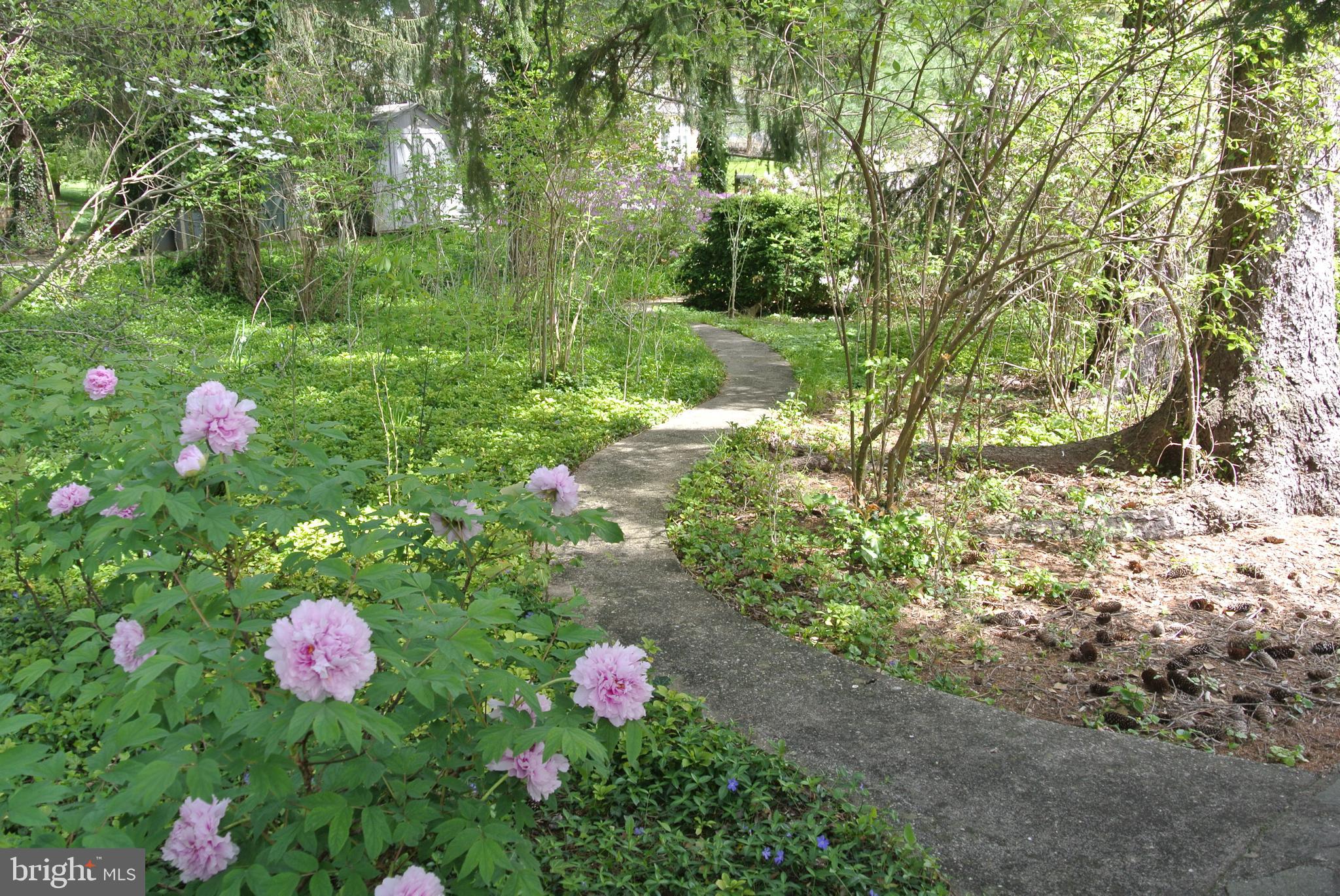 WOODBROOK - Residential