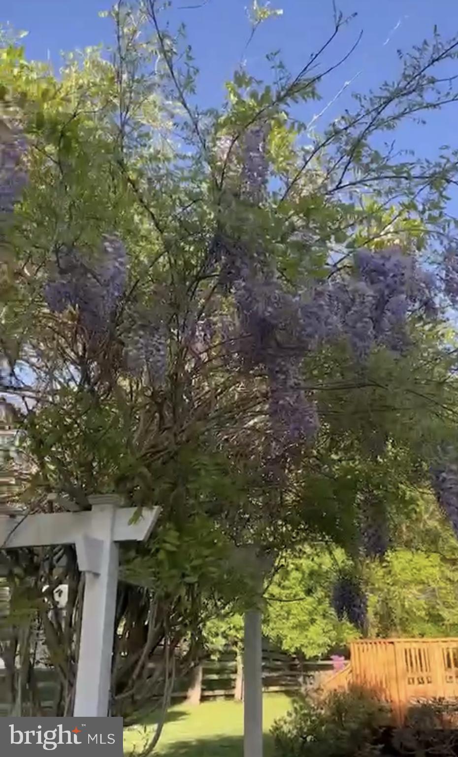 DUFIEF MILL - Residential