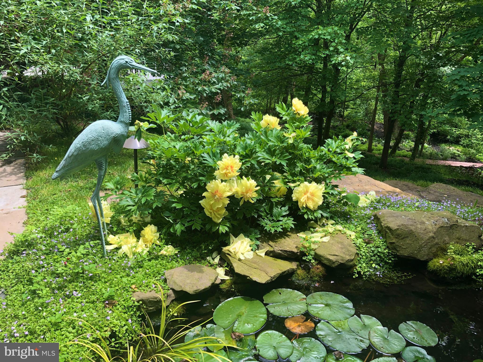 ROLAND PARK - Residential