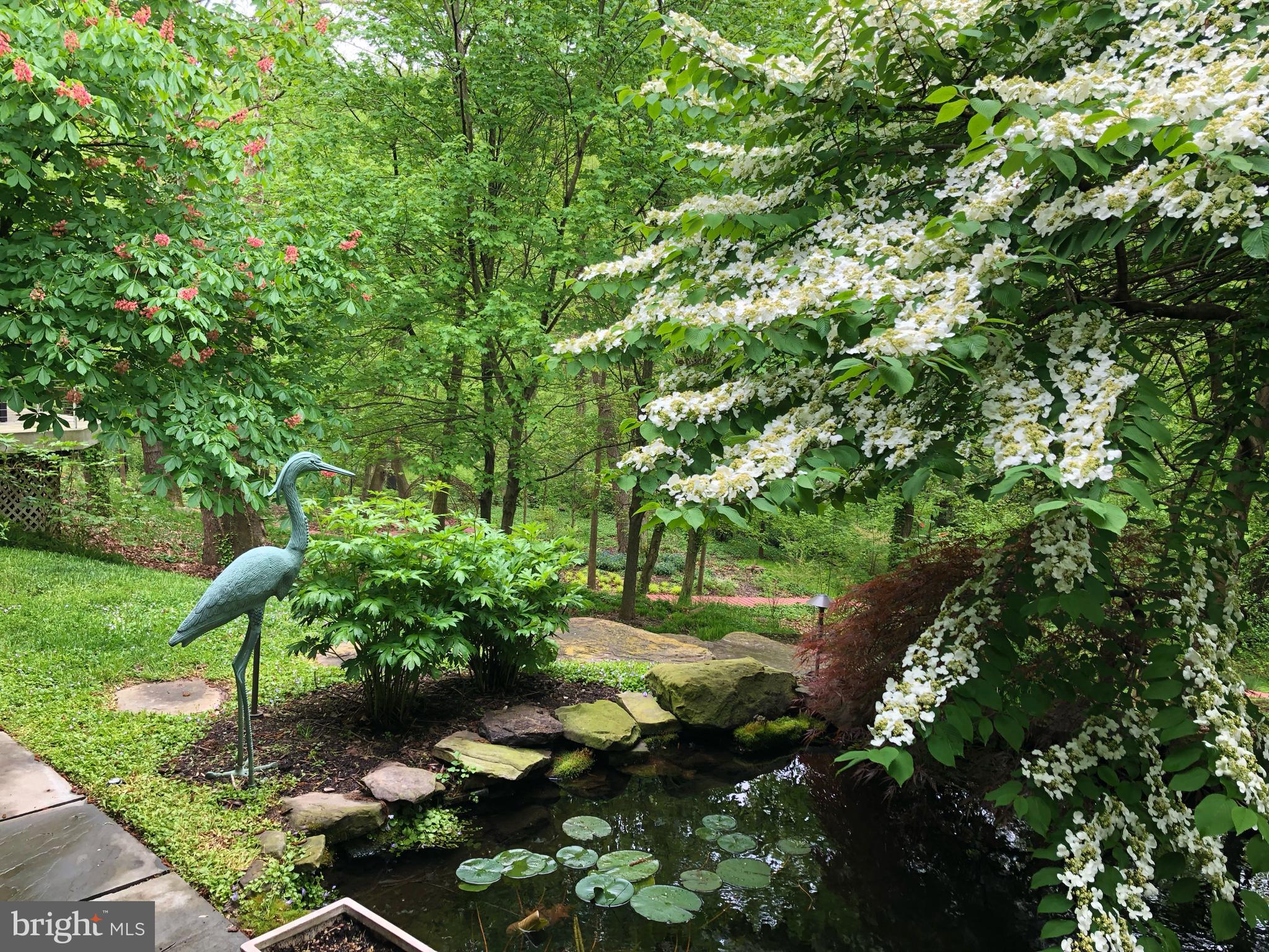 ROLAND PARK - Residential