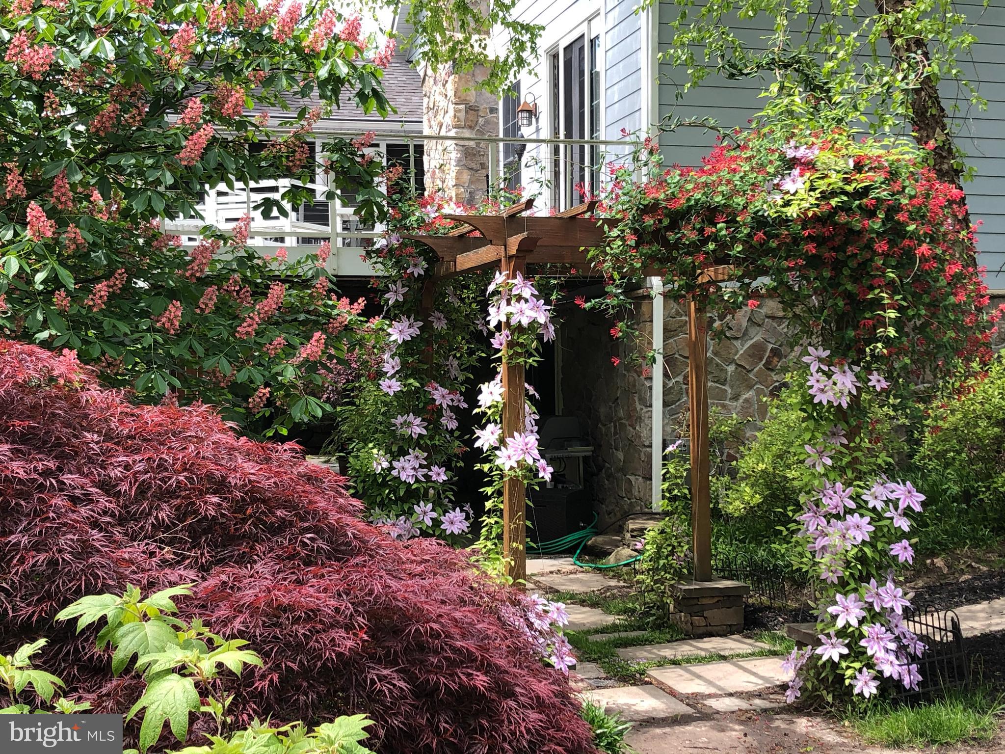 ROLAND PARK - Residential