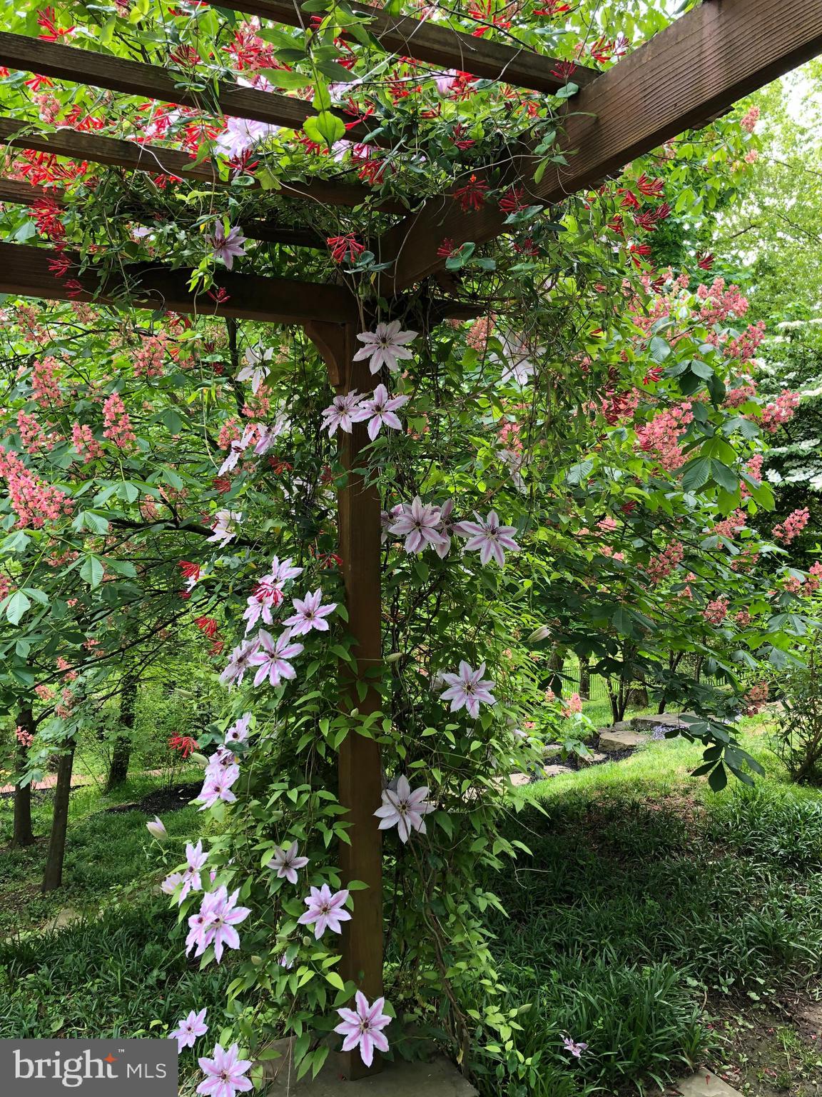 ROLAND PARK - Residential