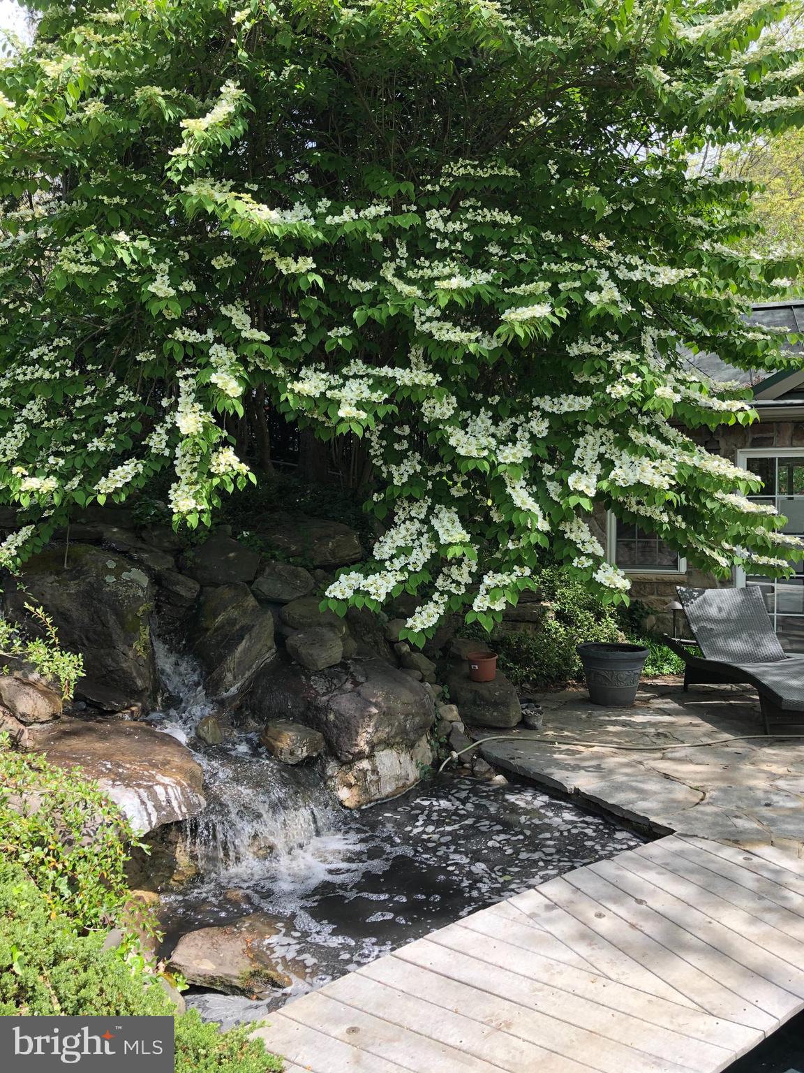 ROLAND PARK - Residential