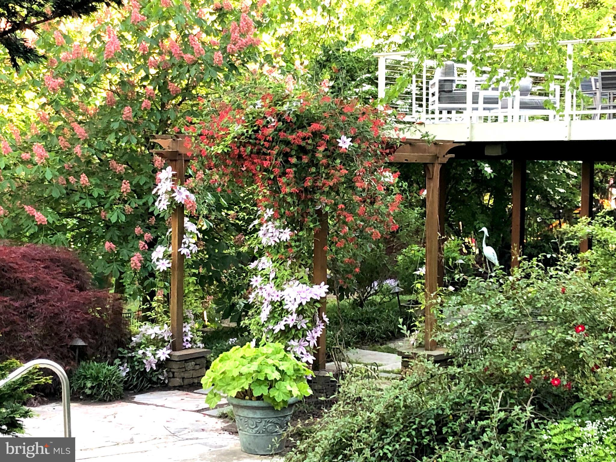 ROLAND PARK - Residential