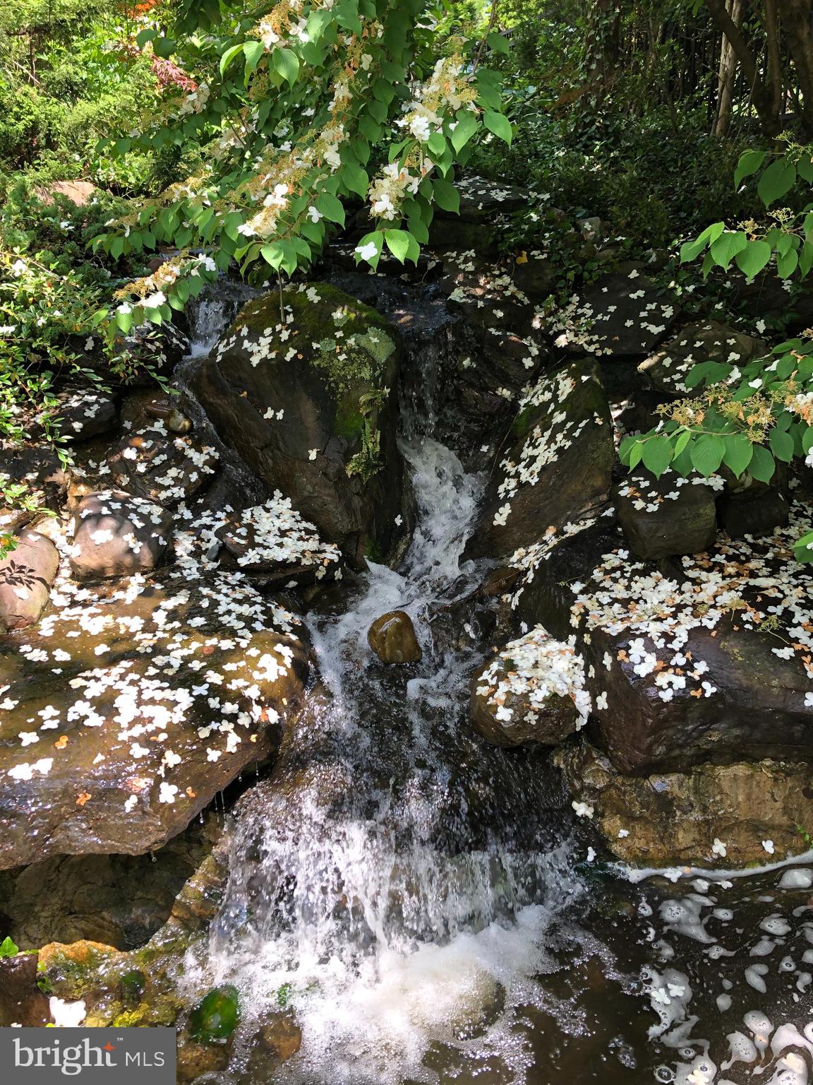 ROLAND PARK - Residential