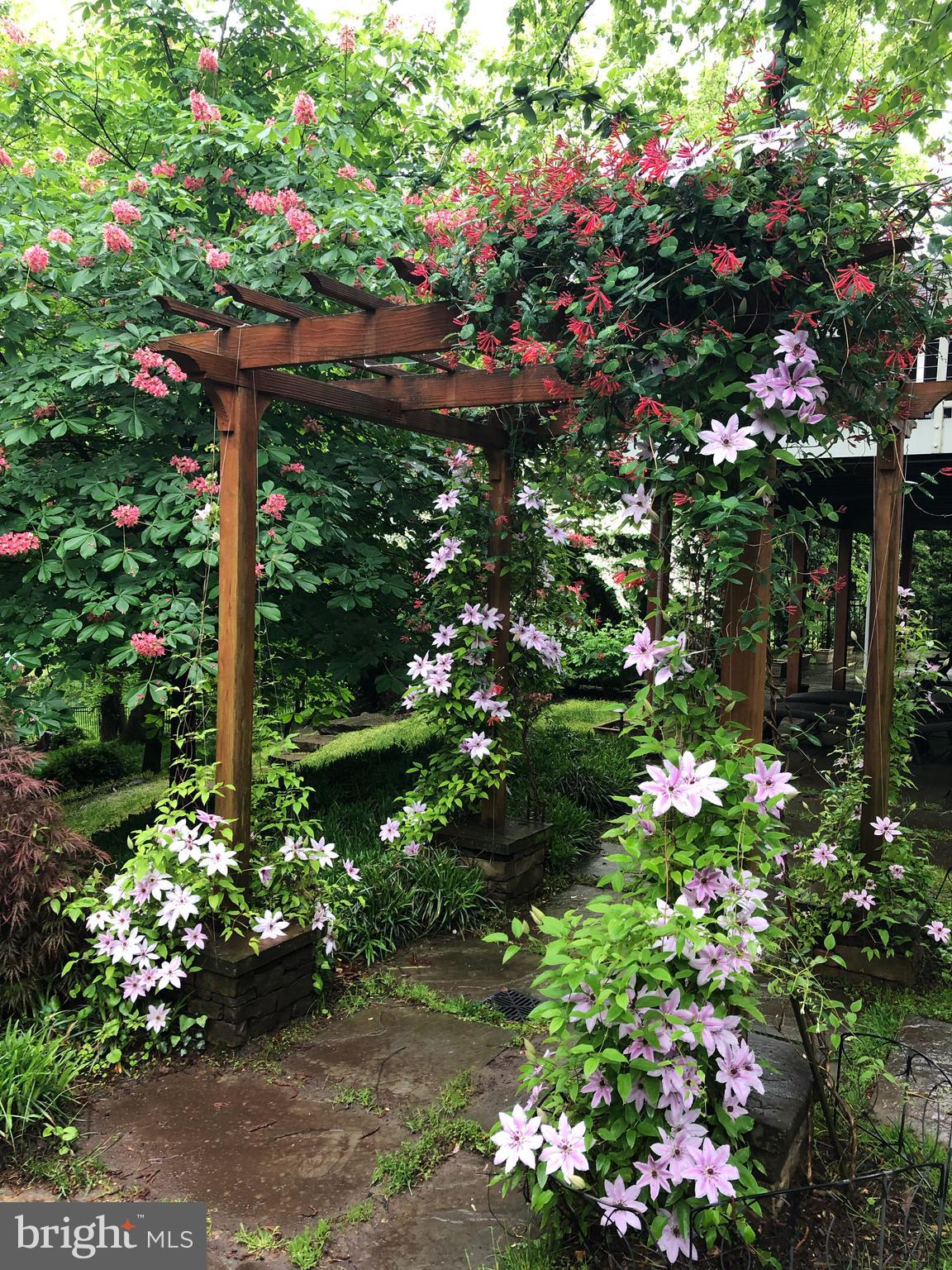 ROLAND PARK - Residential