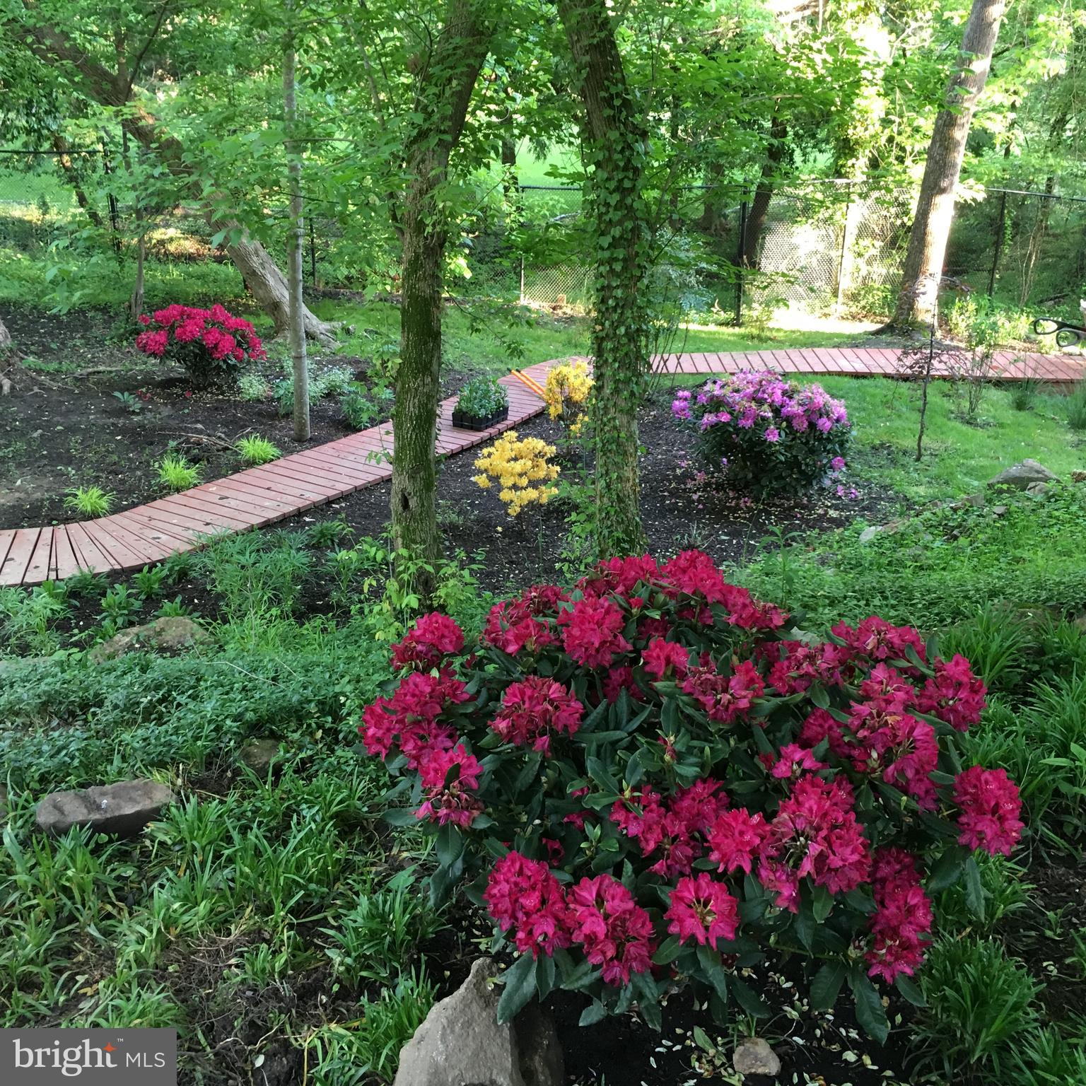 ROLAND PARK - Residential