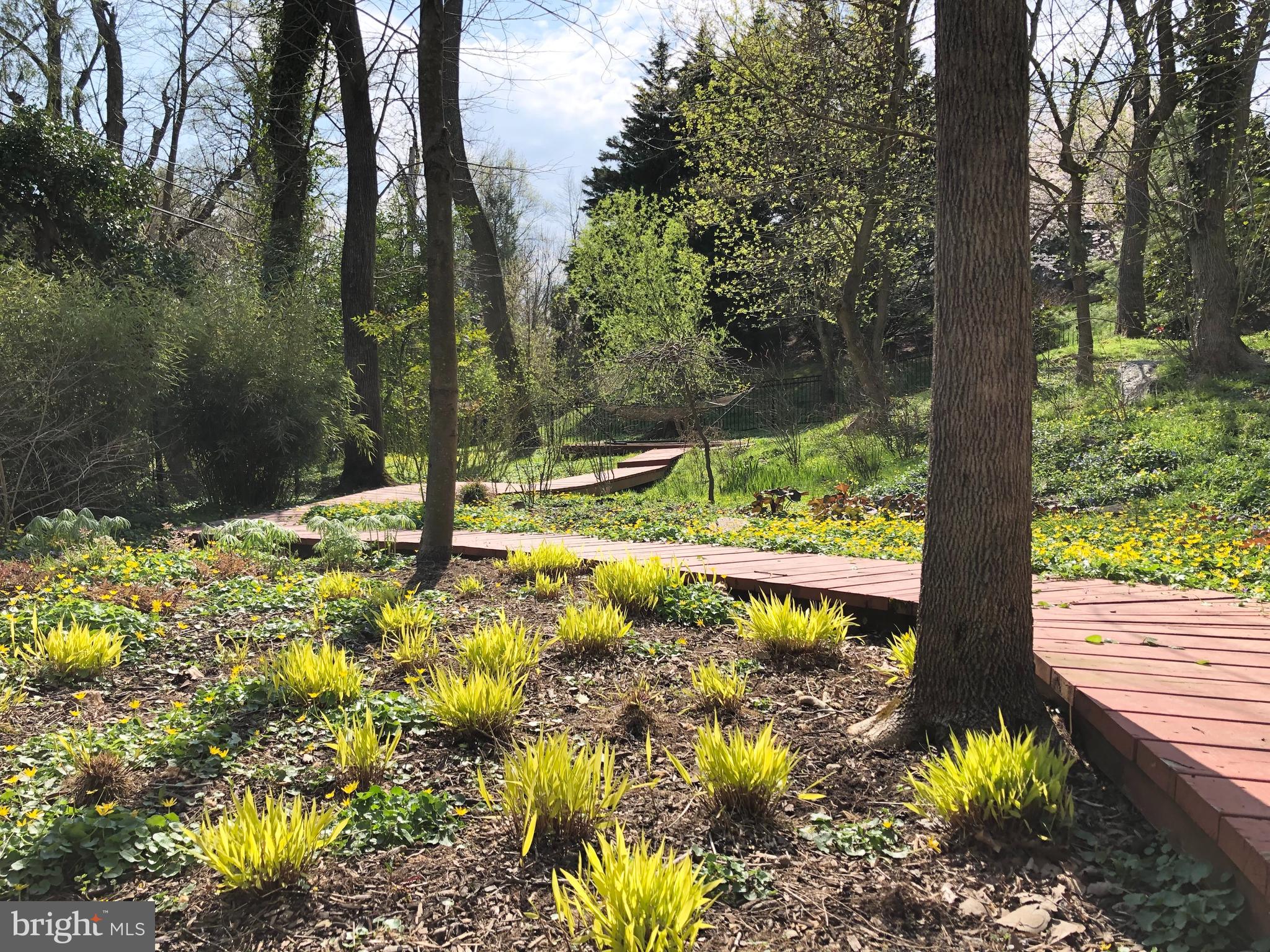 ROLAND PARK - Residential