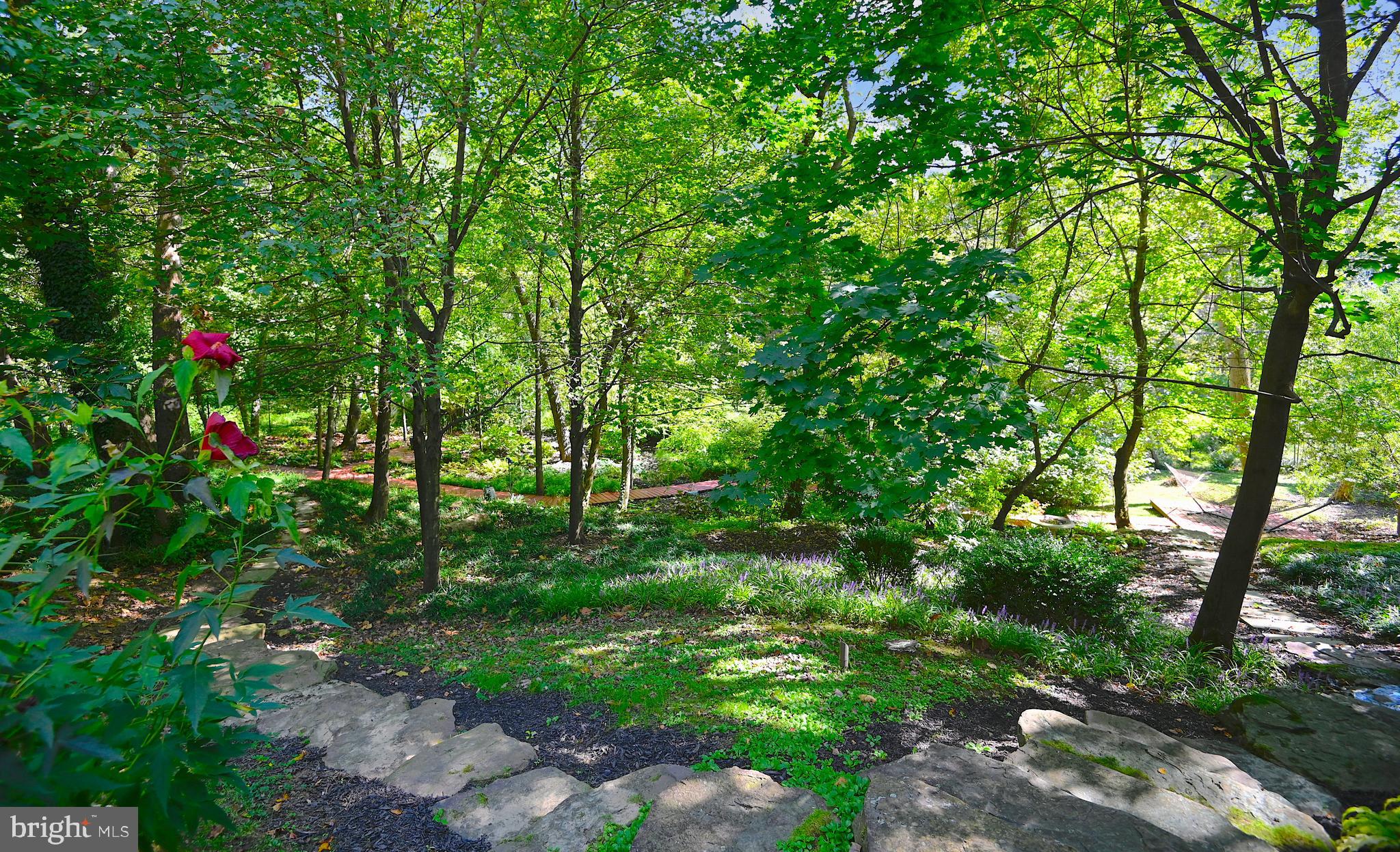 ROLAND PARK - Residential