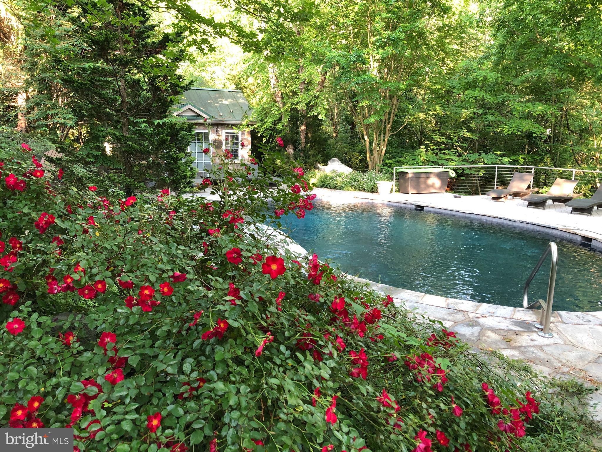 ROLAND PARK - Residential