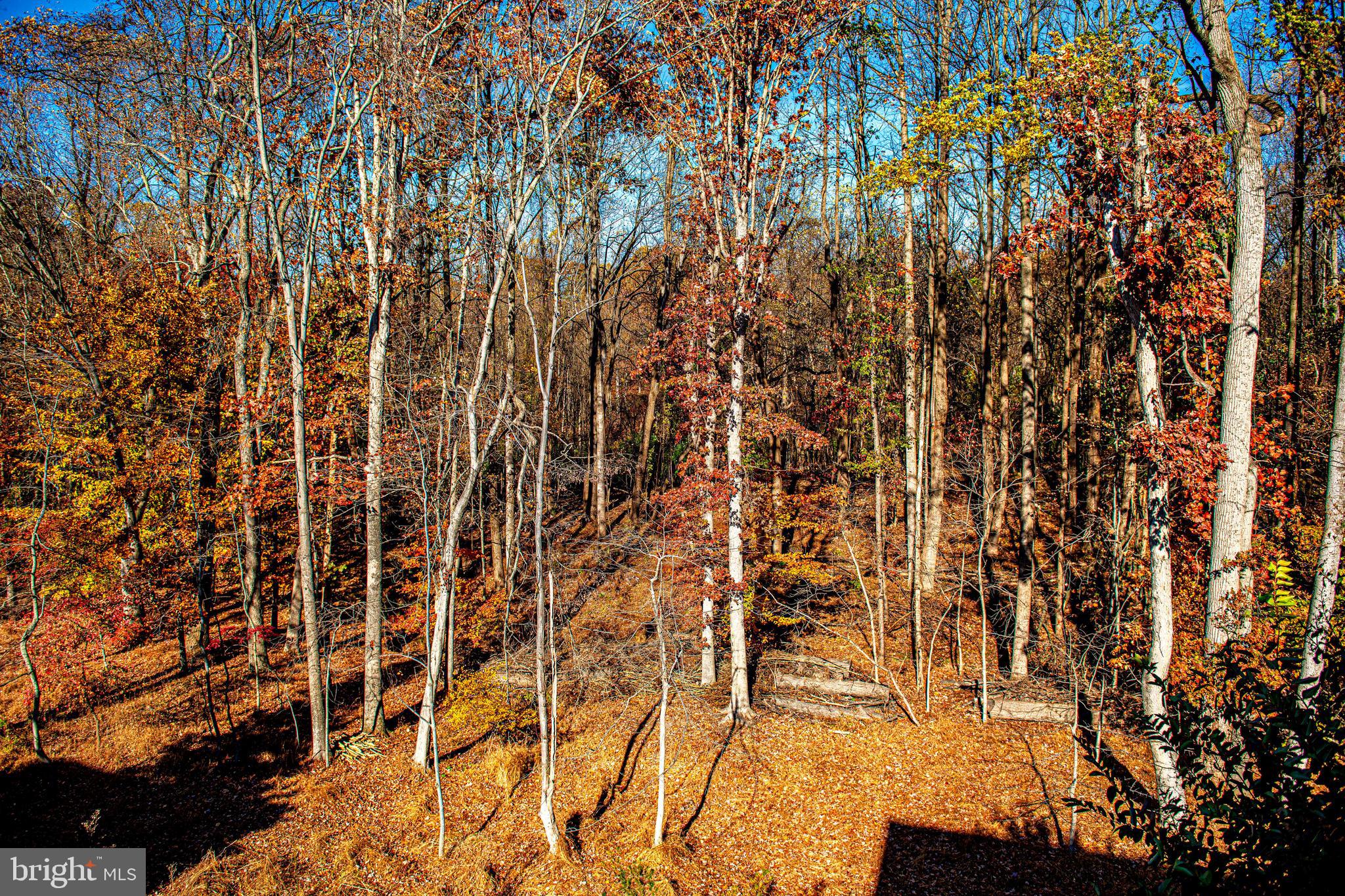 FOREST LAKES - Residential