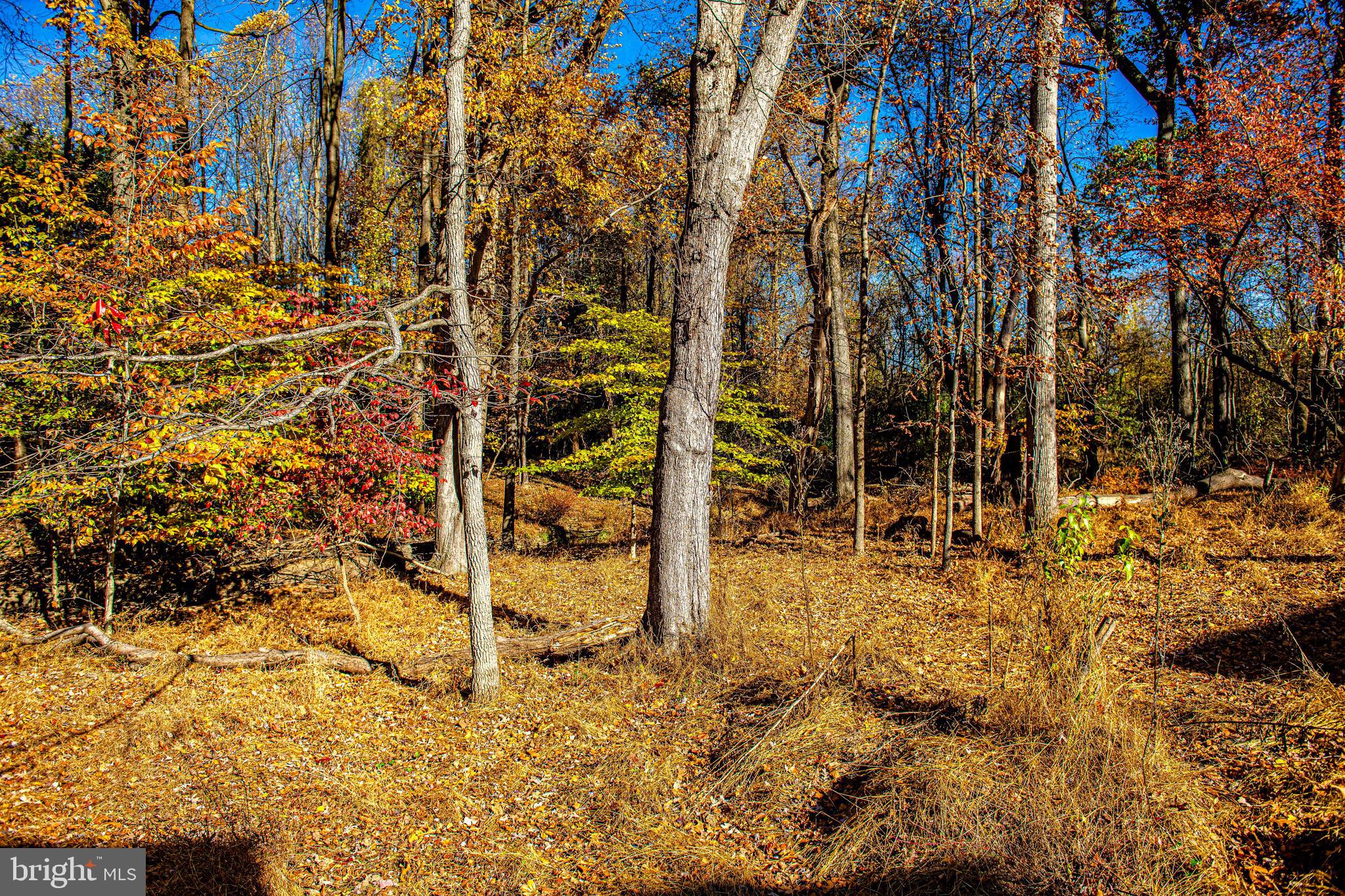 FOREST LAKES - Residential