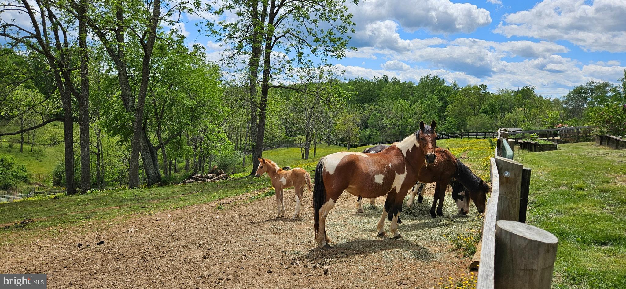WOODVILLE - Residential