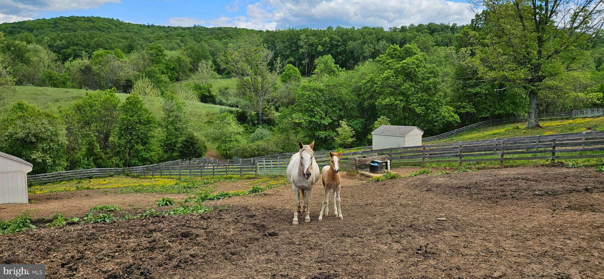 WOODVILLE - Residential