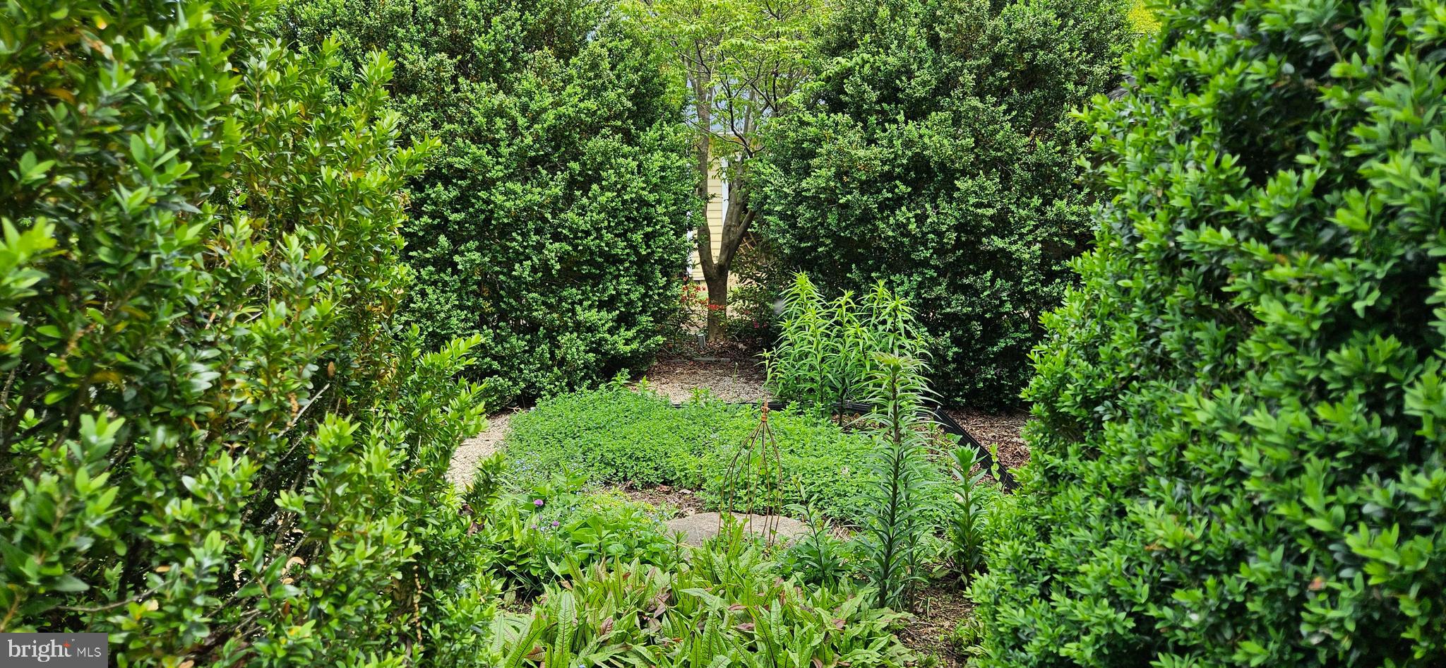 WOODVILLE - Residential