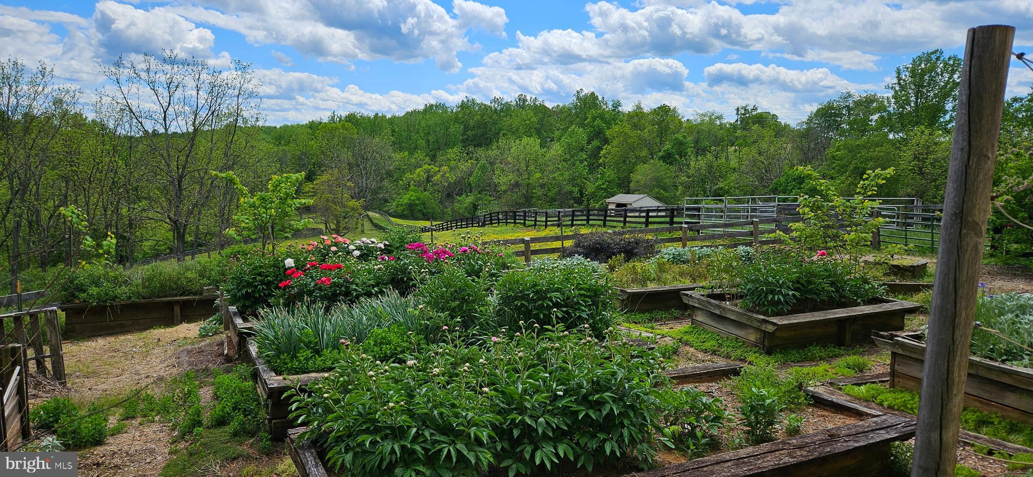 WOODVILLE - Residential