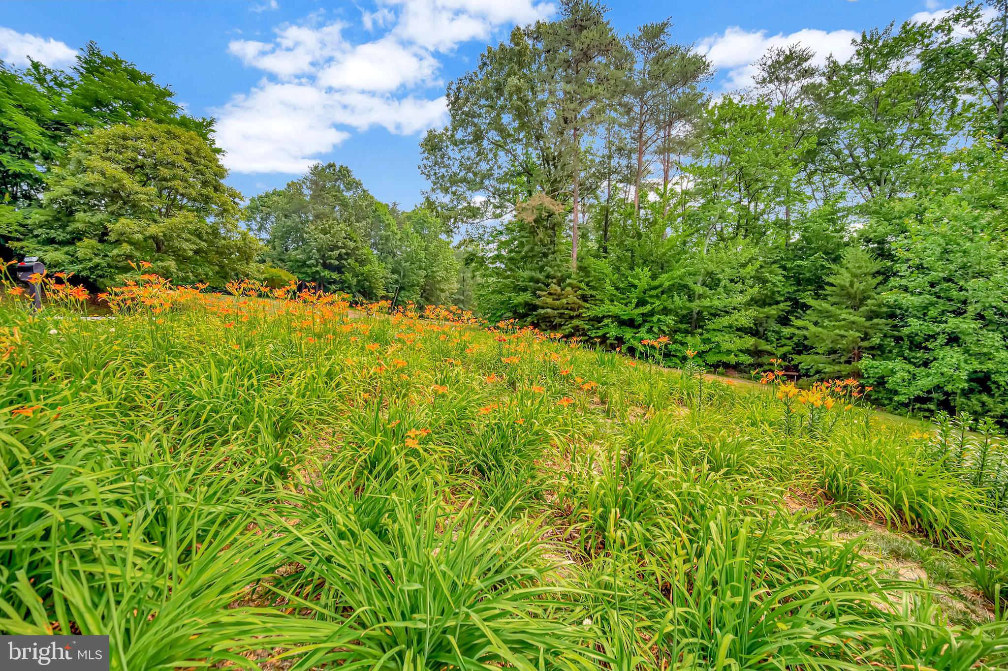 MANSFIELD MANOR - Residential