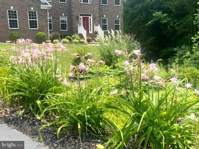 MANSFIELD MANOR - Residential