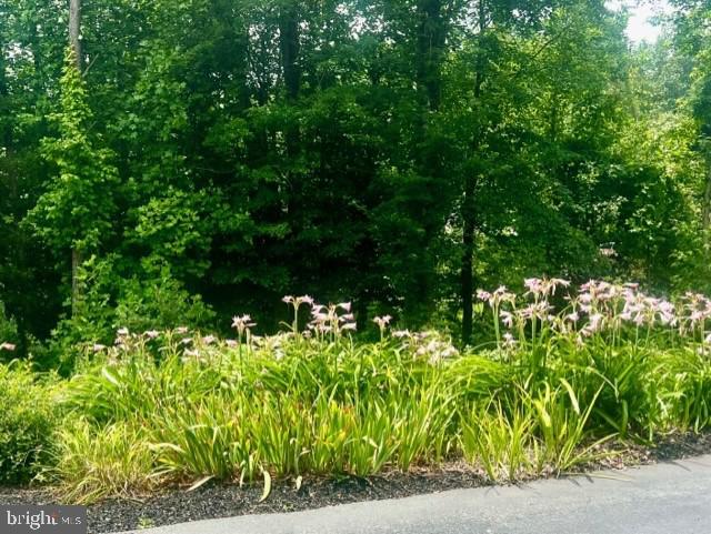 MANSFIELD MANOR - Residential