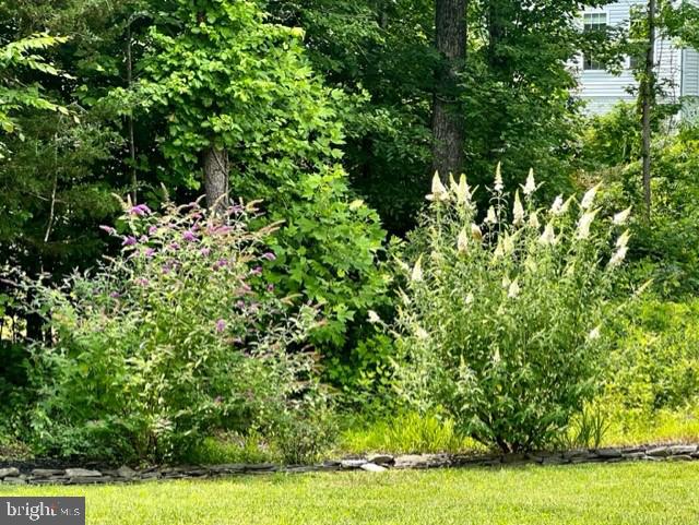 MANSFIELD MANOR - Residential