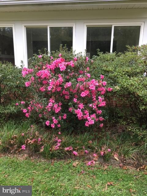 CHESAPEAKE LANDING - Residential