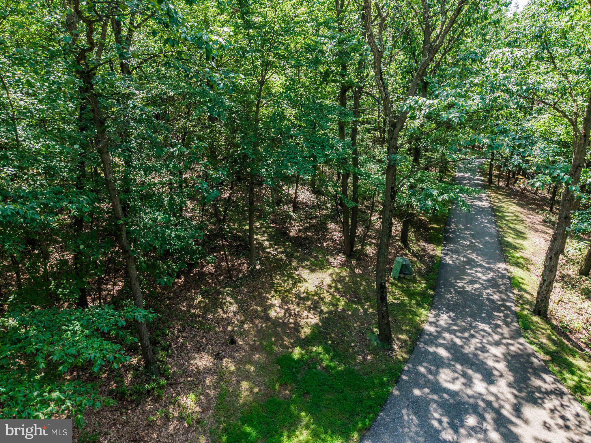 Lot 6 COLD SPRINGS ROAD