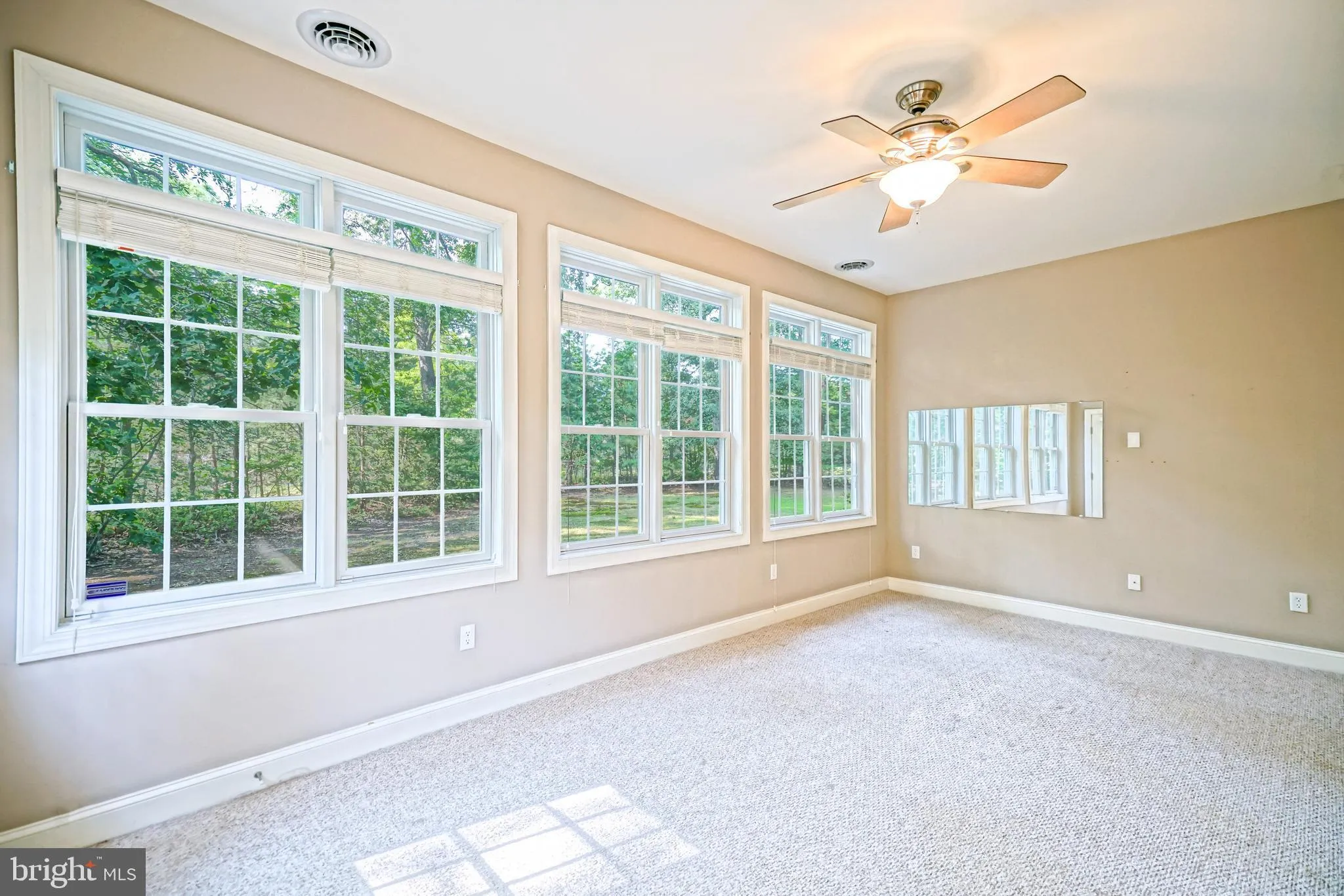 Milton, Delaware 19968, United States, 5 Bedrooms Bedrooms, ,5 BathroomsBathrooms,Residential,Active,144333