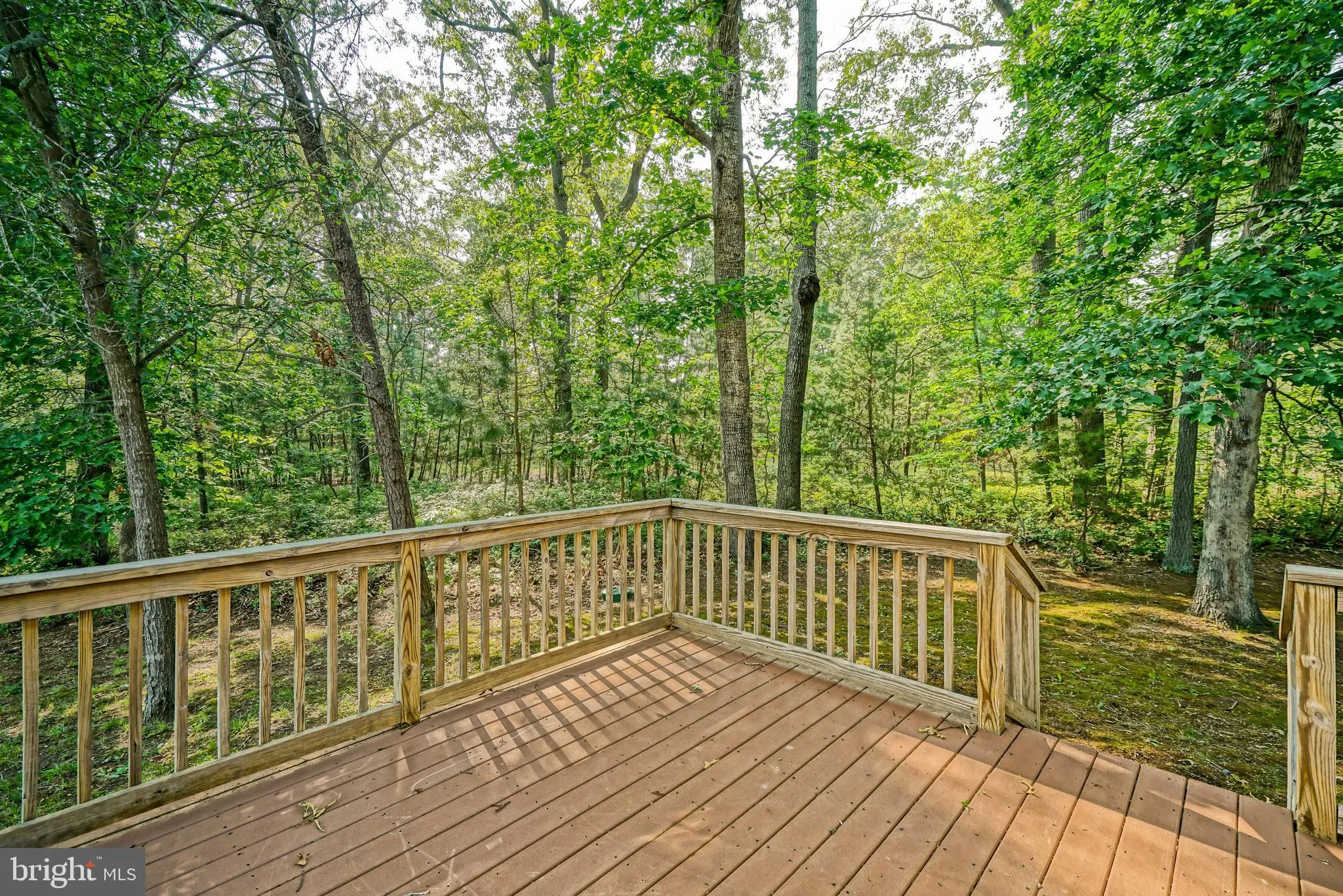 Milton, Delaware 19968, United States, 5 Bedrooms Bedrooms, ,5 BathroomsBathrooms,Residential,Active,144333