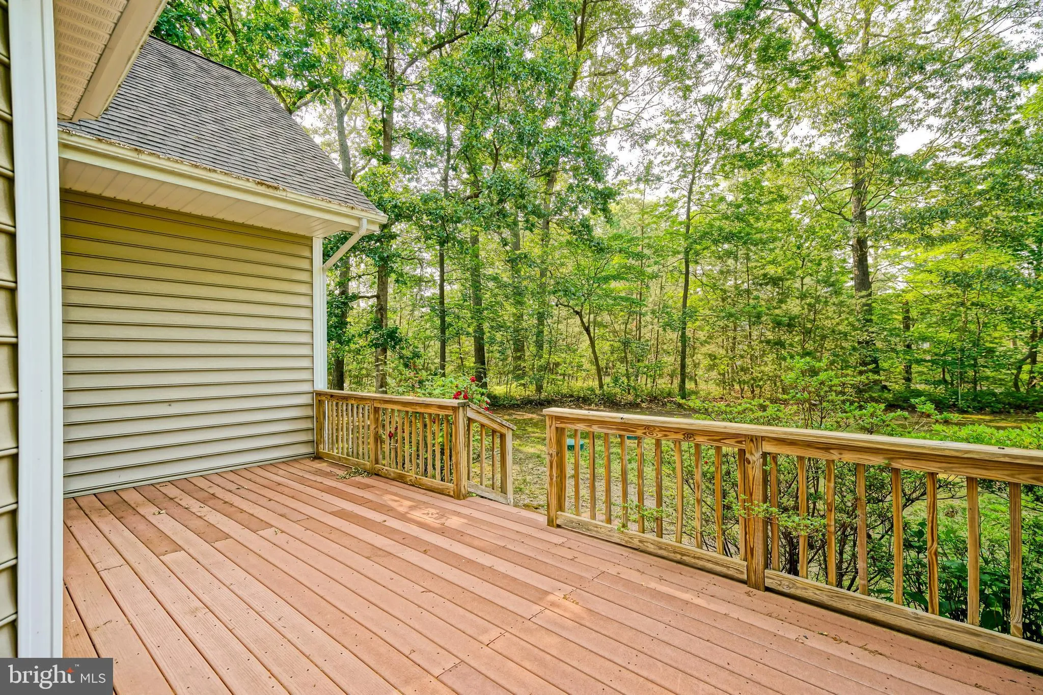 Milton, Delaware 19968, United States, 5 Bedrooms Bedrooms, ,5 BathroomsBathrooms,Residential,Active,144333