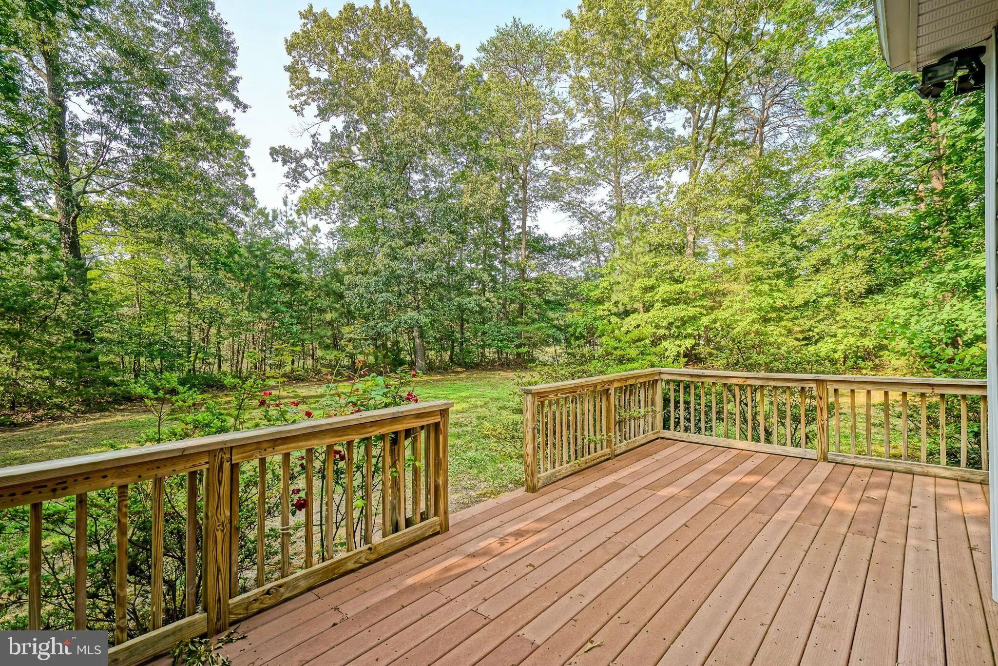 Milton, Delaware 19968, United States, 5 Bedrooms Bedrooms, ,5 BathroomsBathrooms,Residential,Active,144333