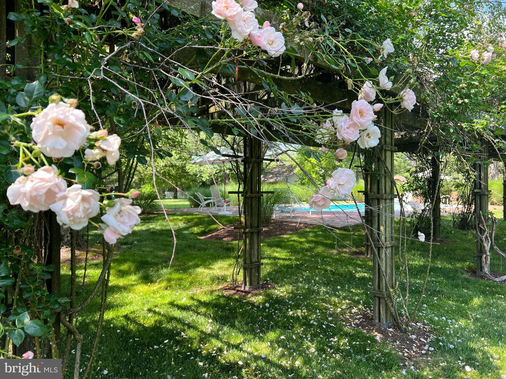 TRAPPE - Residential